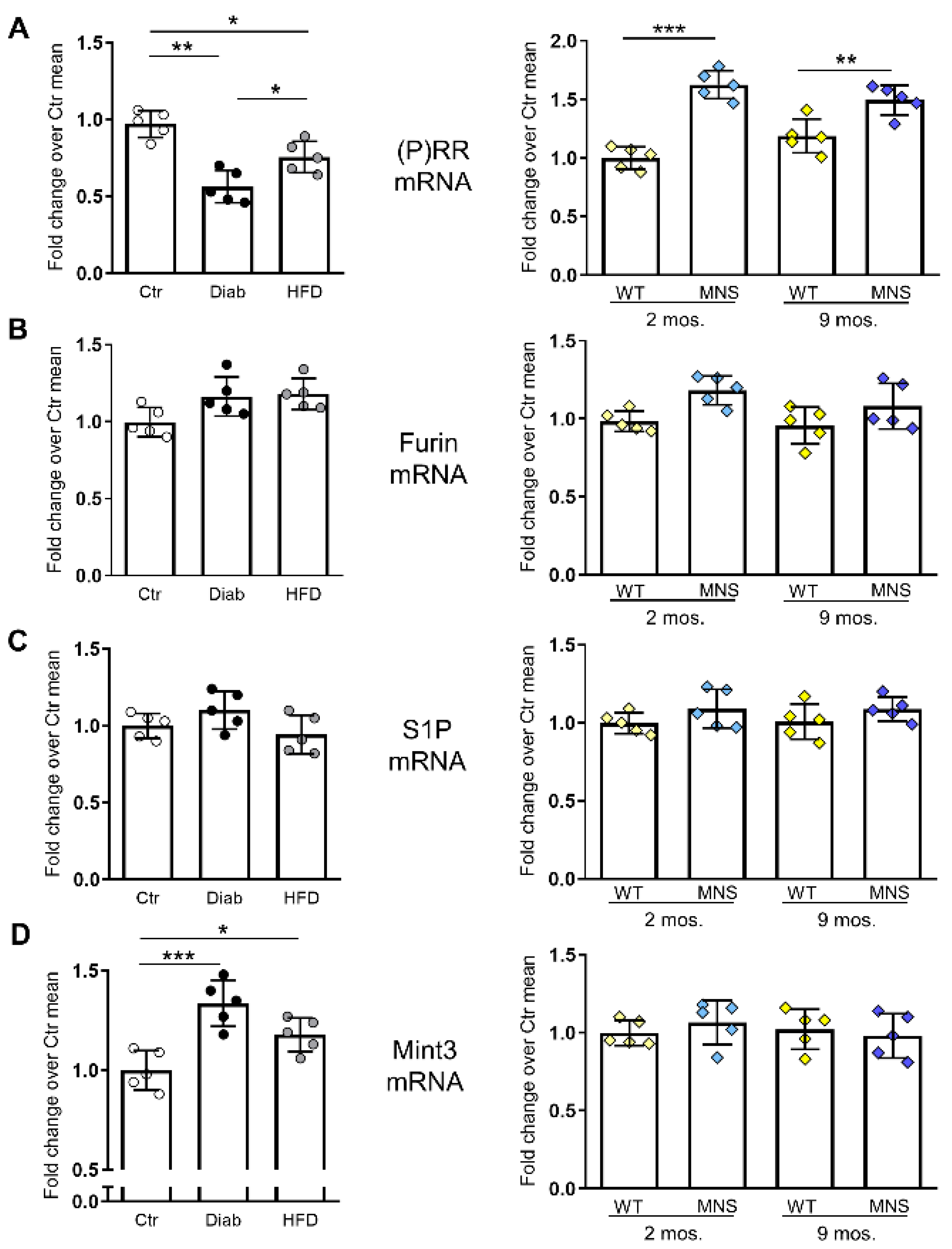 Ijms 25 02217 g004 Ijms 25 02217 g004
