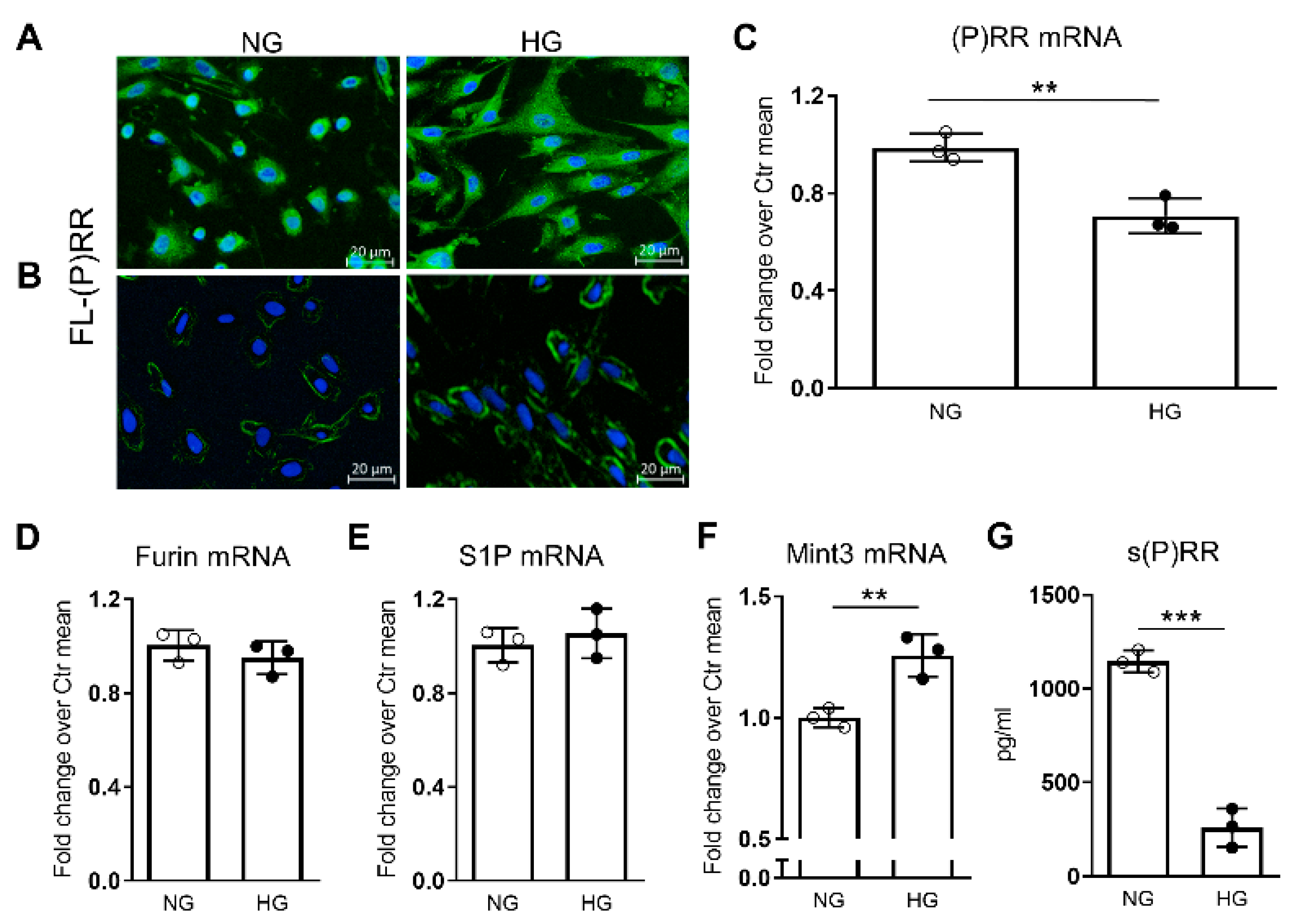 Ijms 25 02217 g005 Ijms 25 02217 g005