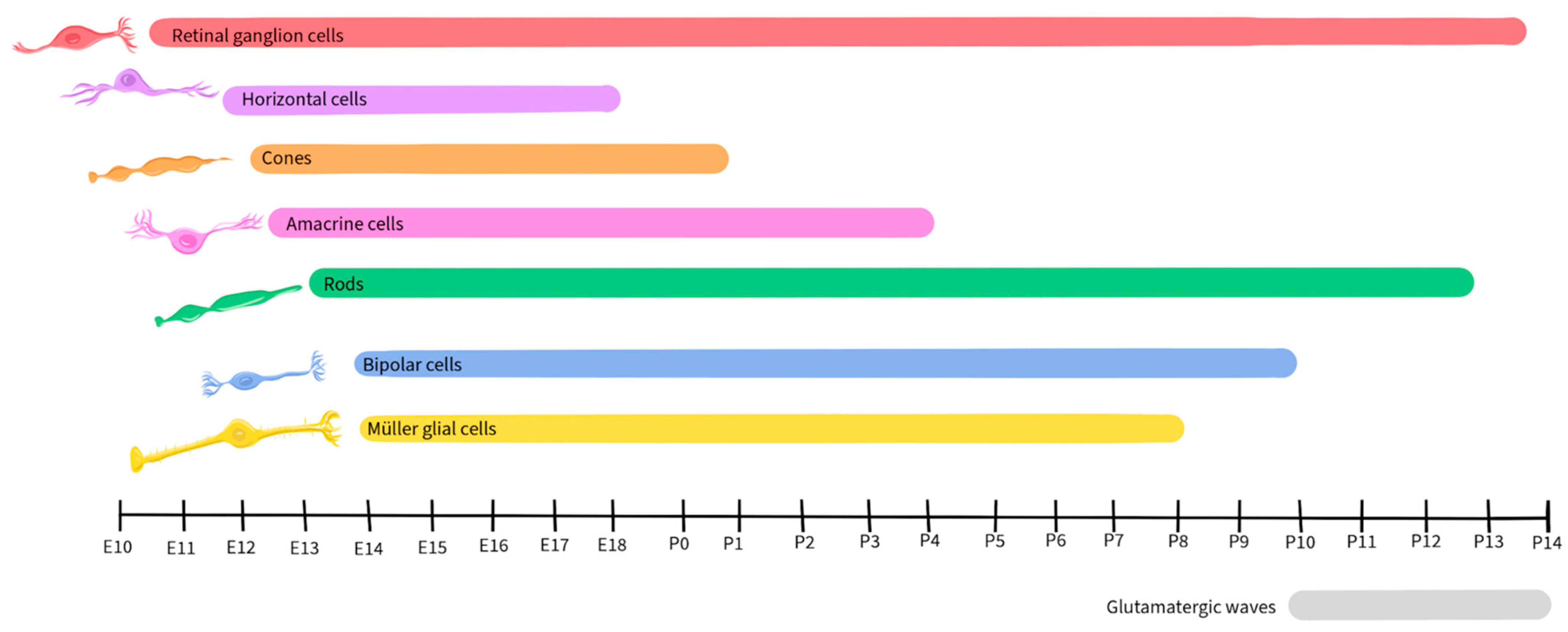 Ijms 25 02226 g003 Ijms 25 02226 g003