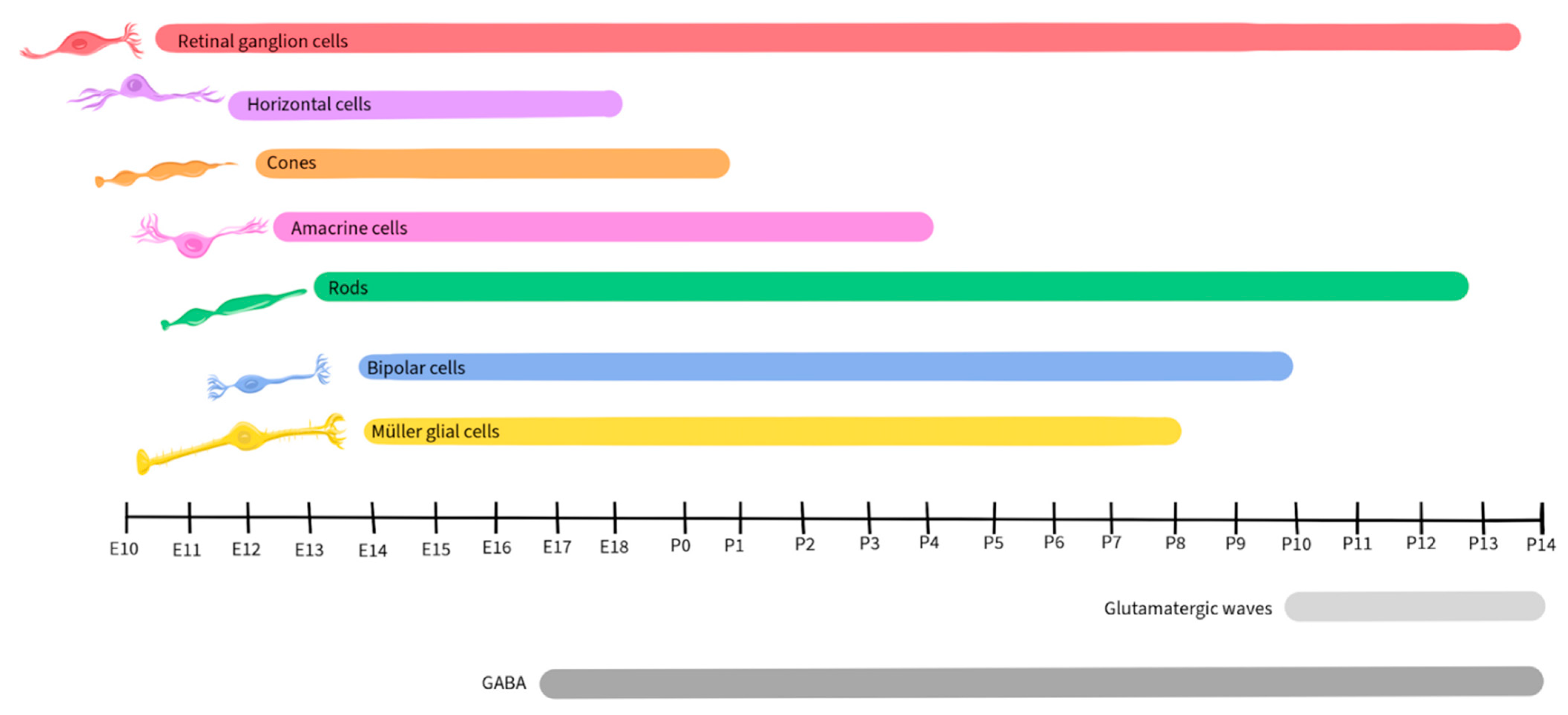Ijms 25 02226 g005 Ijms 25 02226 g005