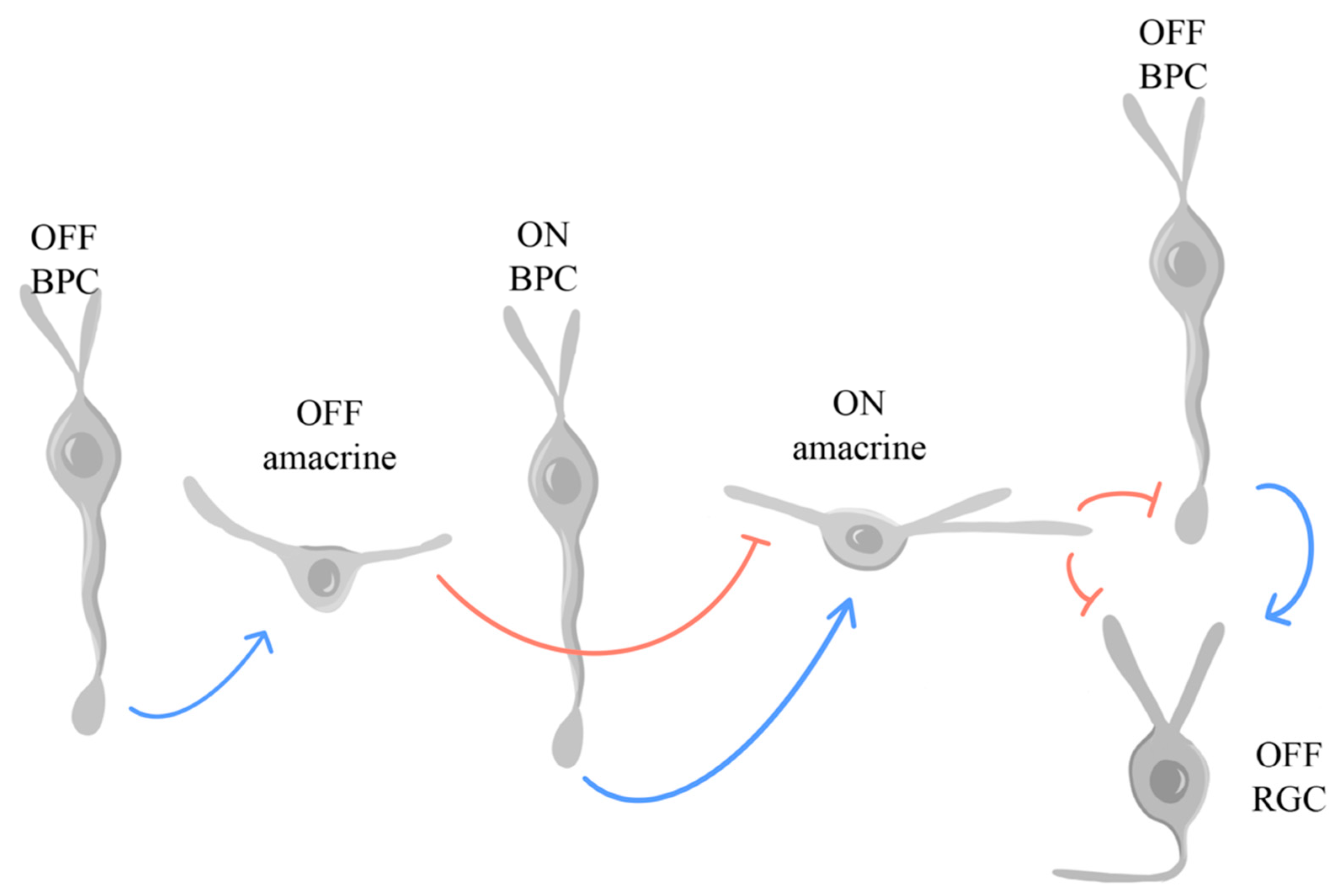 Ijms 25 02226 g008 Ijms 25 02226 g008