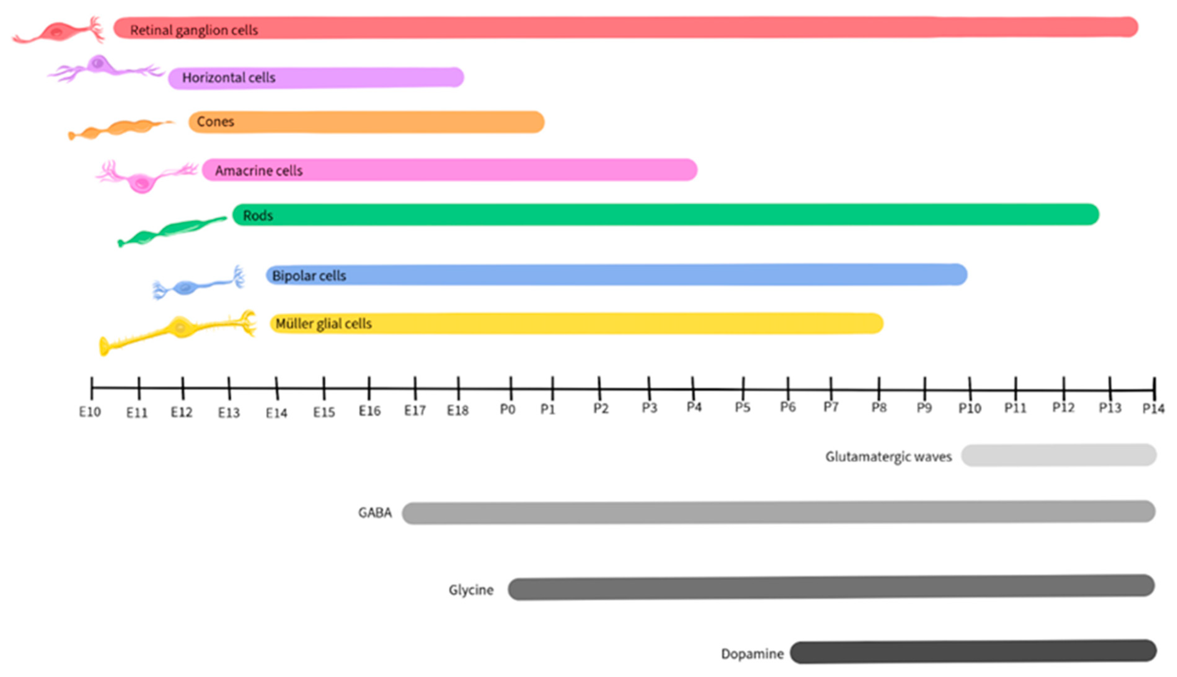 Ijms 25 02226 g009 Ijms 25 02226 g009