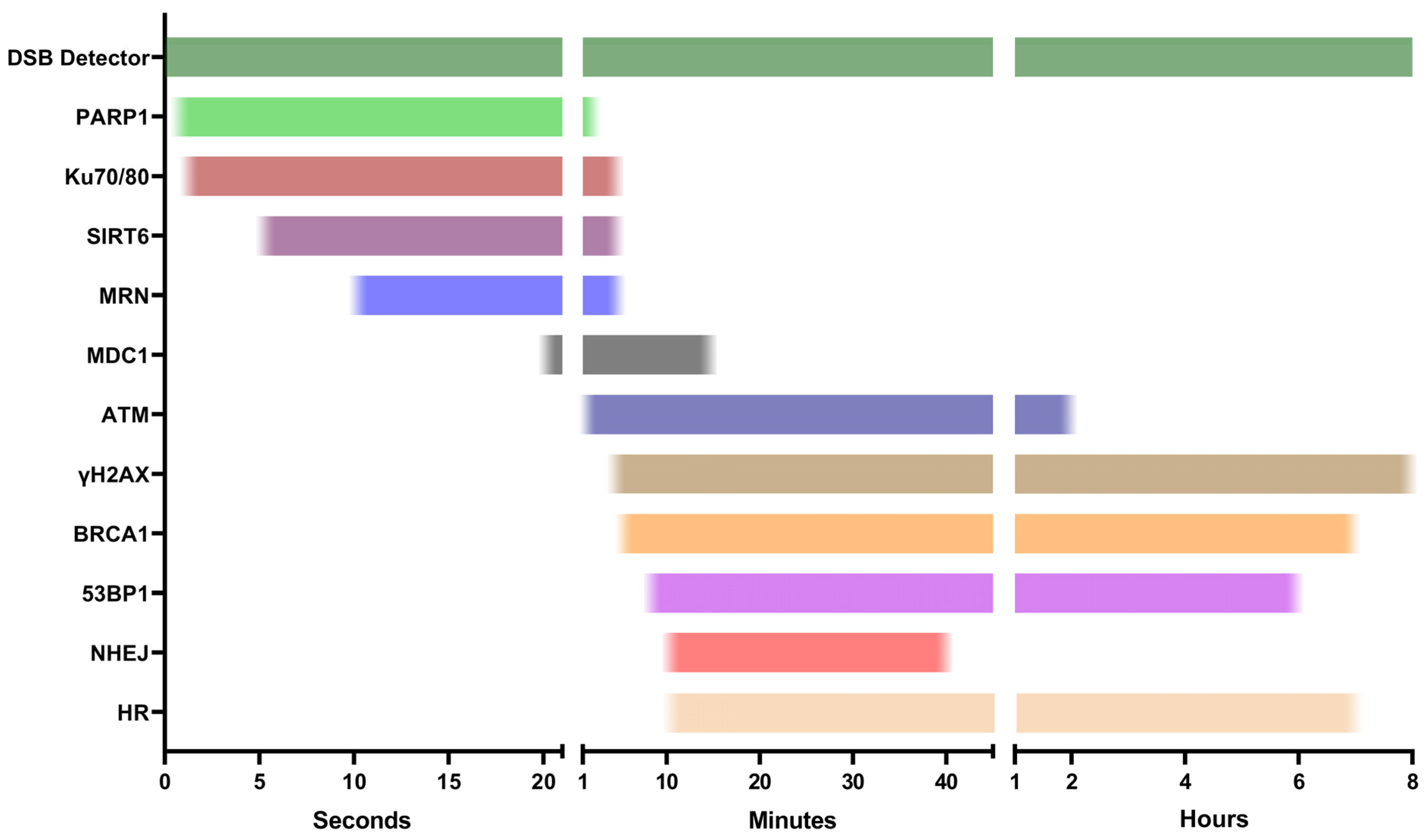 Ijms 25 02227 g001 Ijms 25 02227 g001