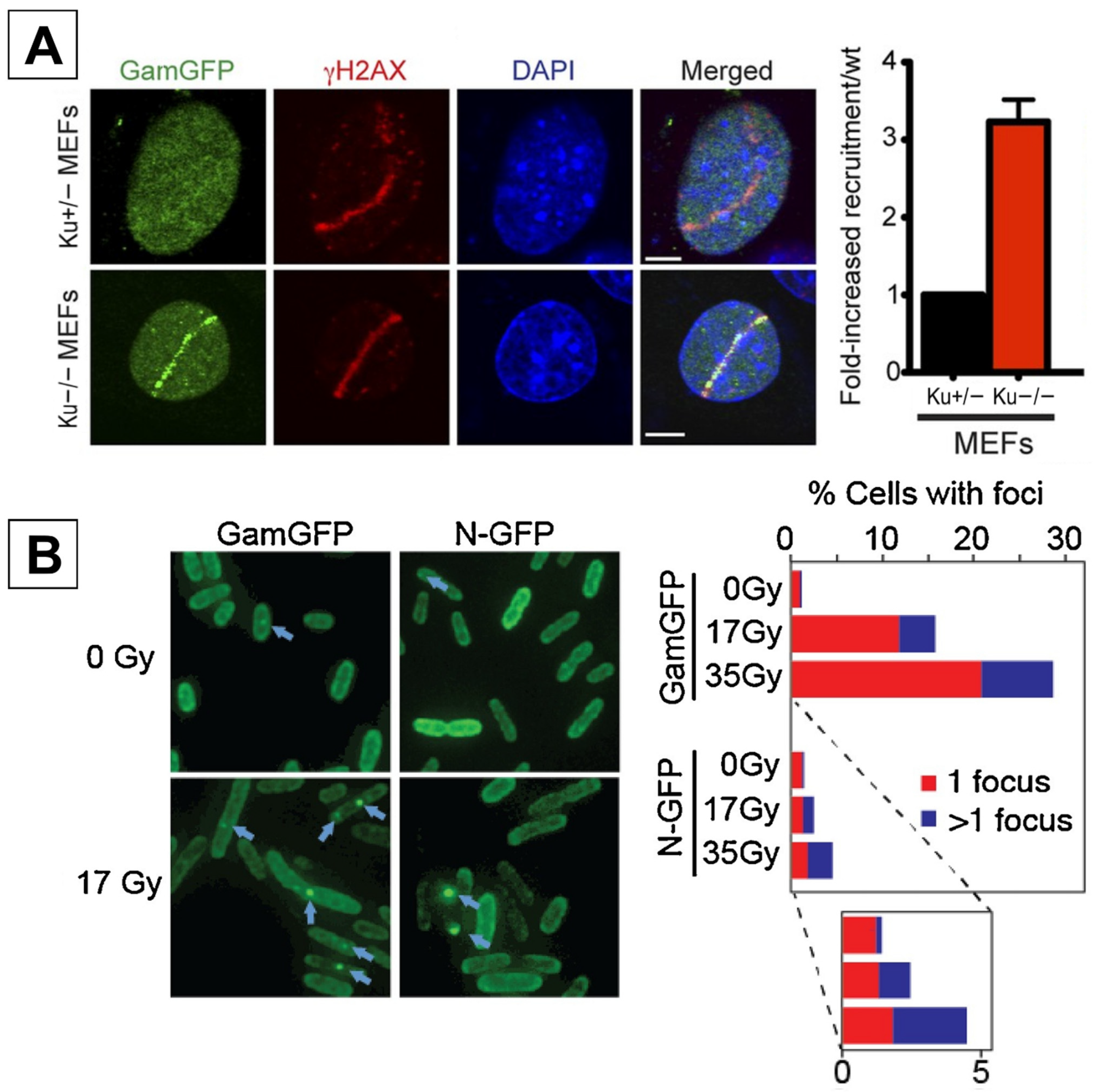 Ijms 25 02227 g002 Ijms 25 02227 g002
