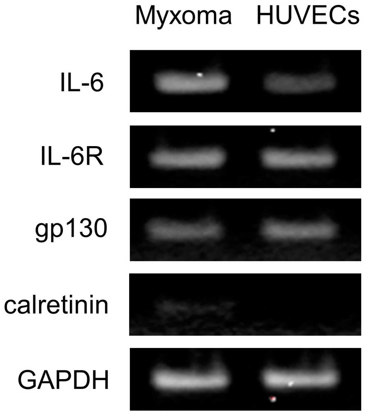 Ijms 25 02232 g003 Ijms 25 02232 g003