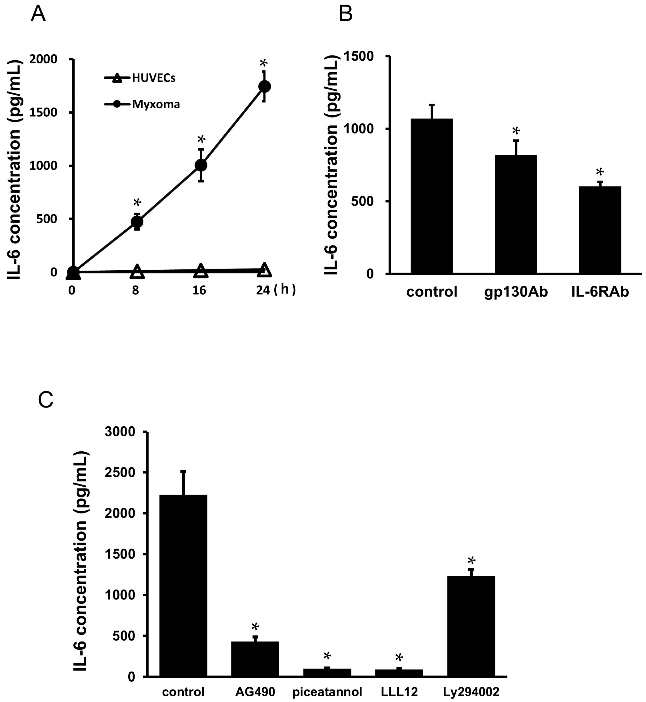 Ijms 25 02232 g007 Ijms 25 02232 g007