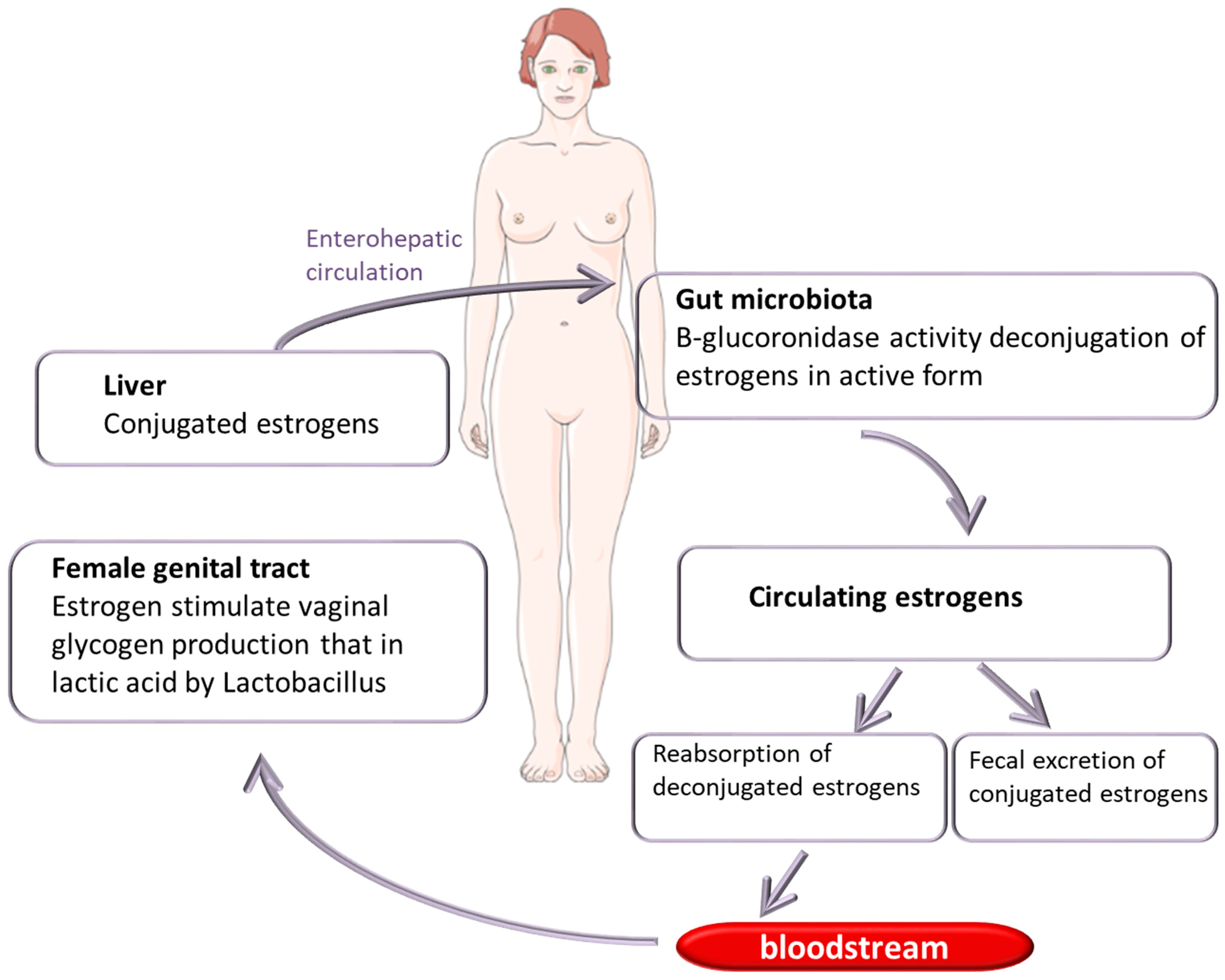 Ijms 25 02237 g002 Ijms 25 02237 g002