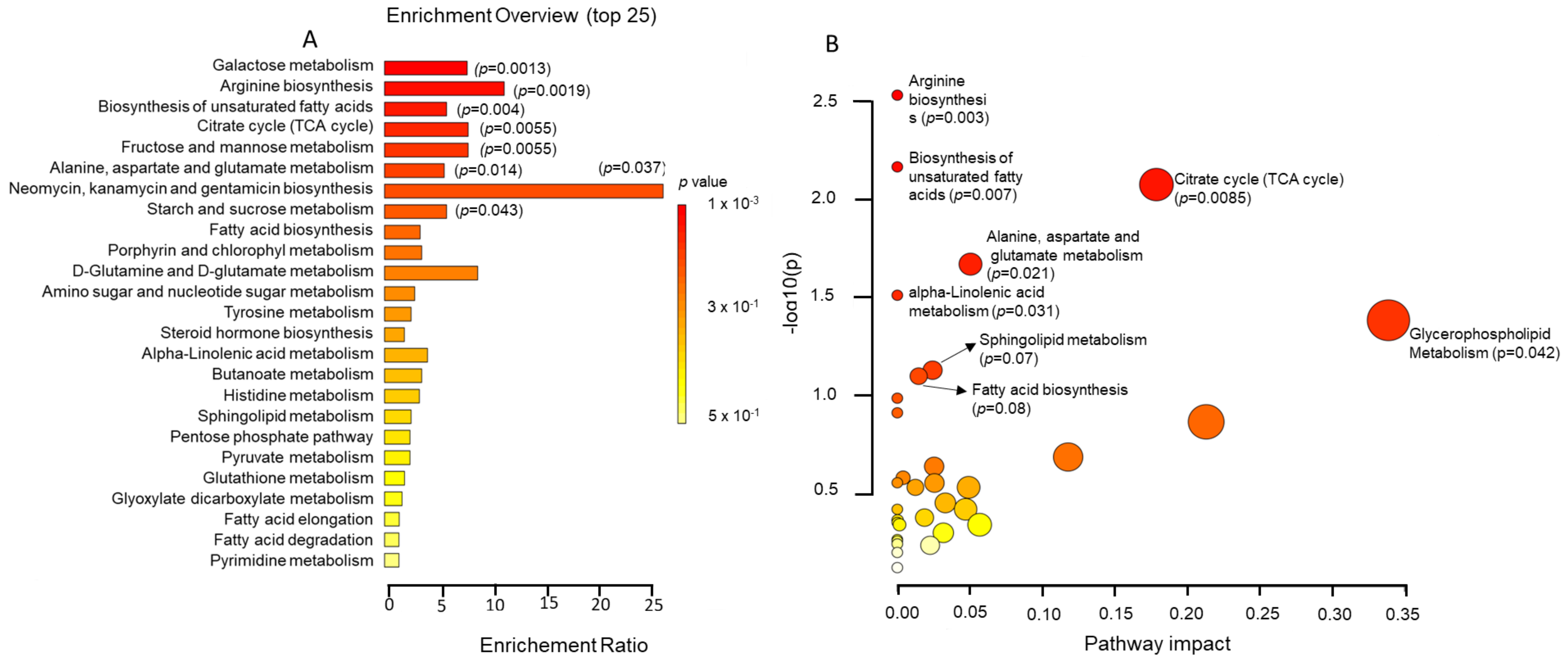 Ijms 25 02247 g003 Ijms 25 02247 g003