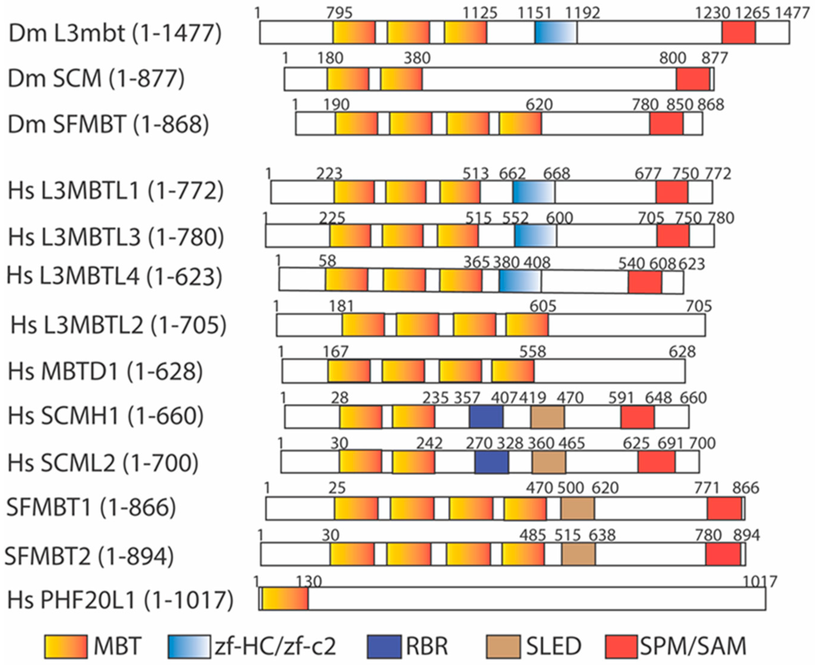 Ijms 25 02248 g002 Ijms 25 02248 g002