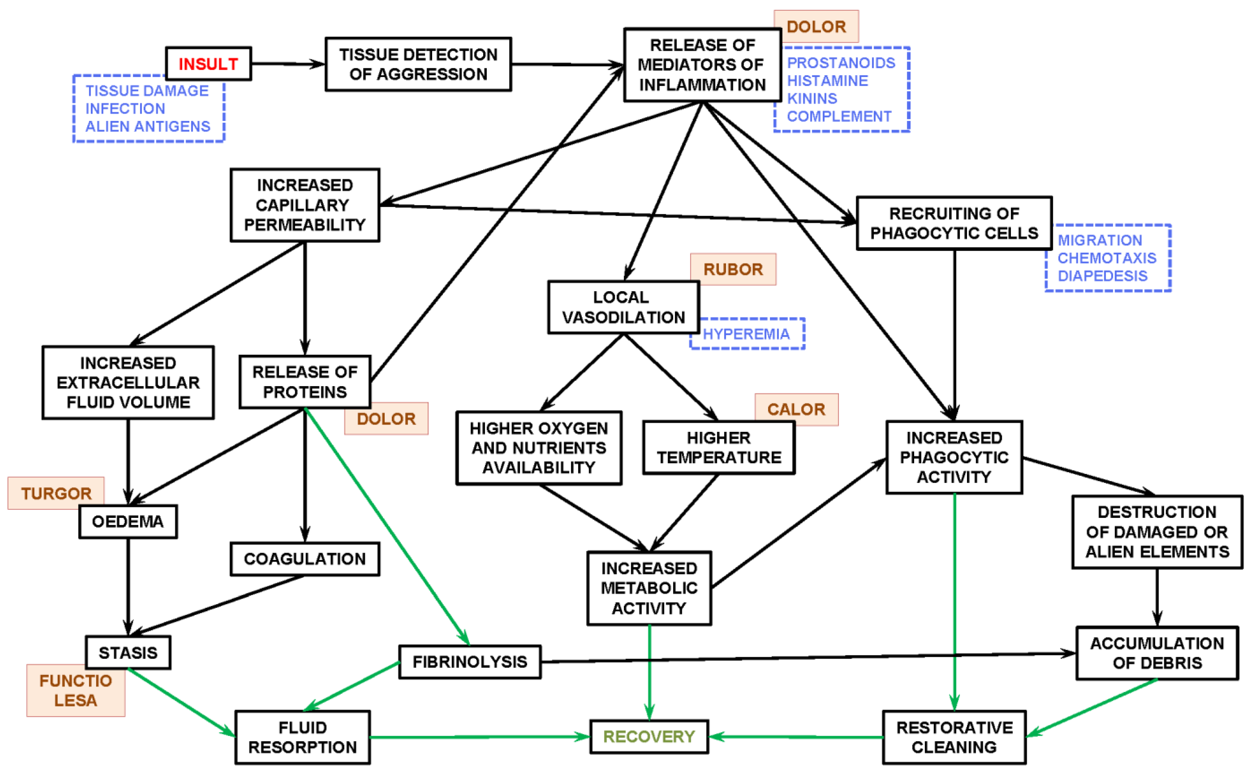 Ijms 25 02251 g002 Ijms 25 02251 g002