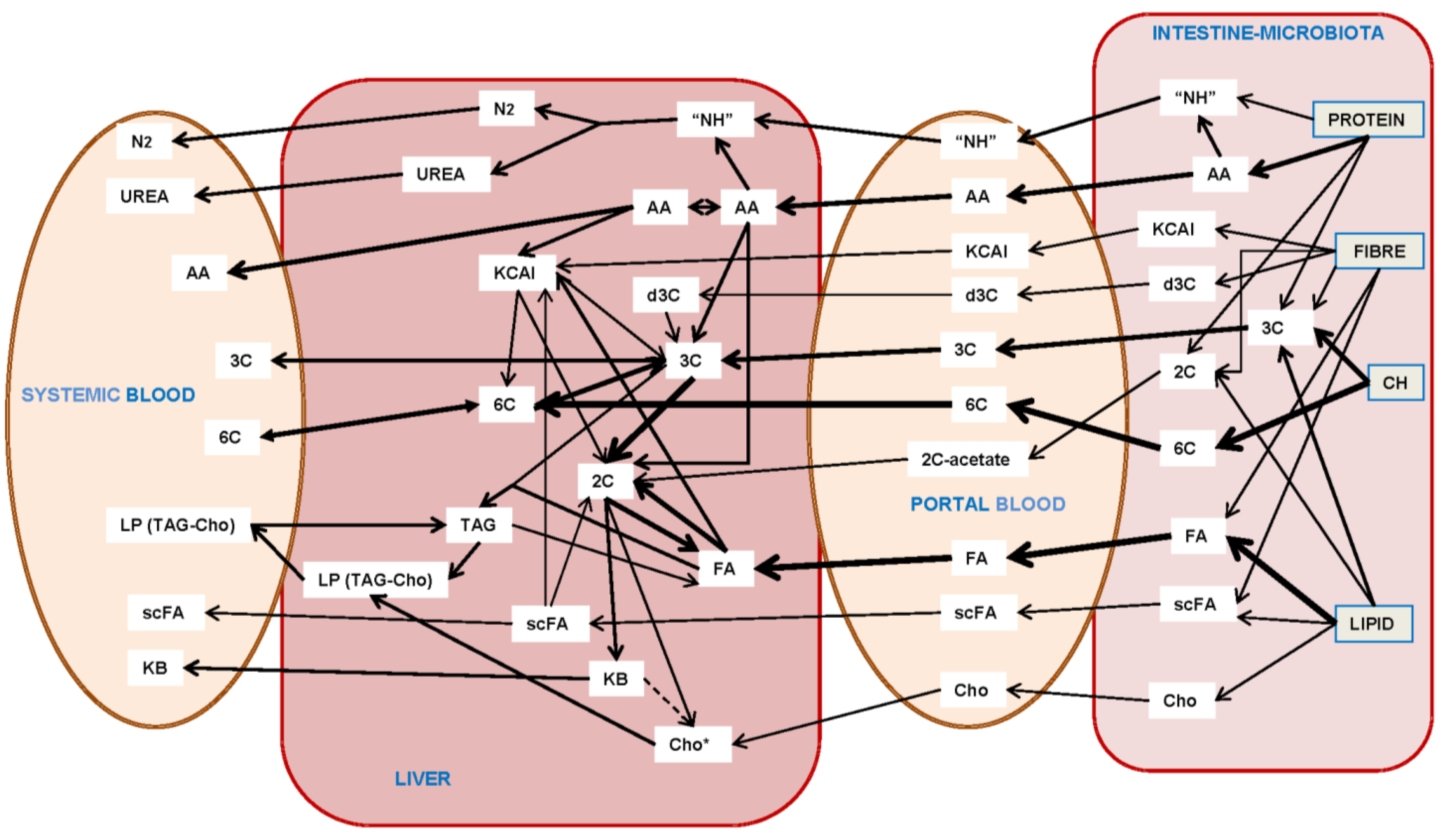 Ijms 25 02251 g004 Ijms 25 02251 g004