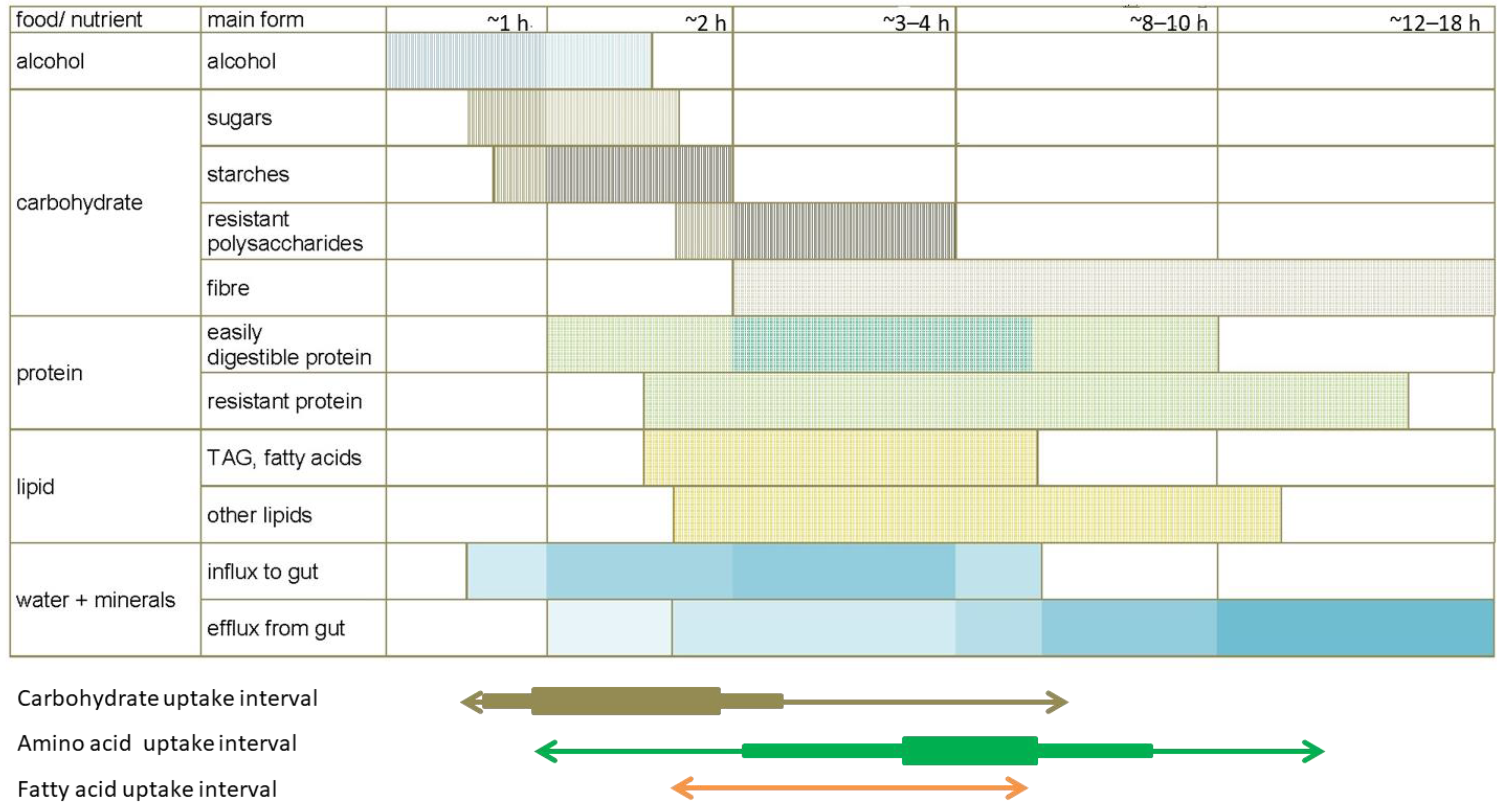 Ijms 25 02251 g006 Ijms 25 02251 g006