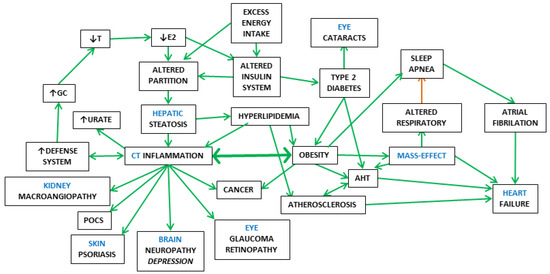 The Metabolic Syndrome, a Human Disease