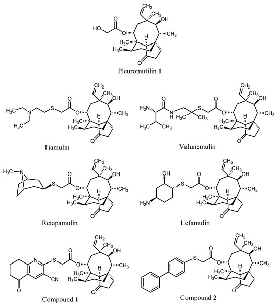 Design and Synthesis of Pleuromutilin Derivatives as