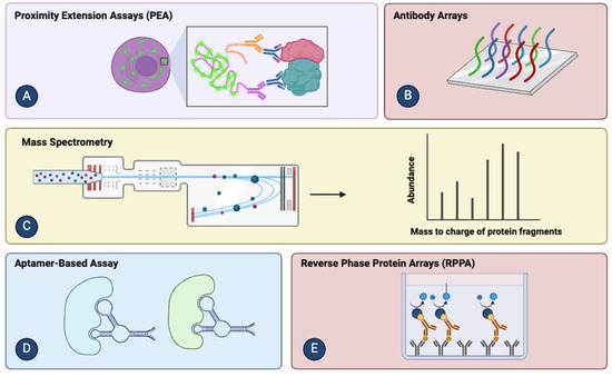 Biomarker Identification through Proteomics in Colorectal Cancer