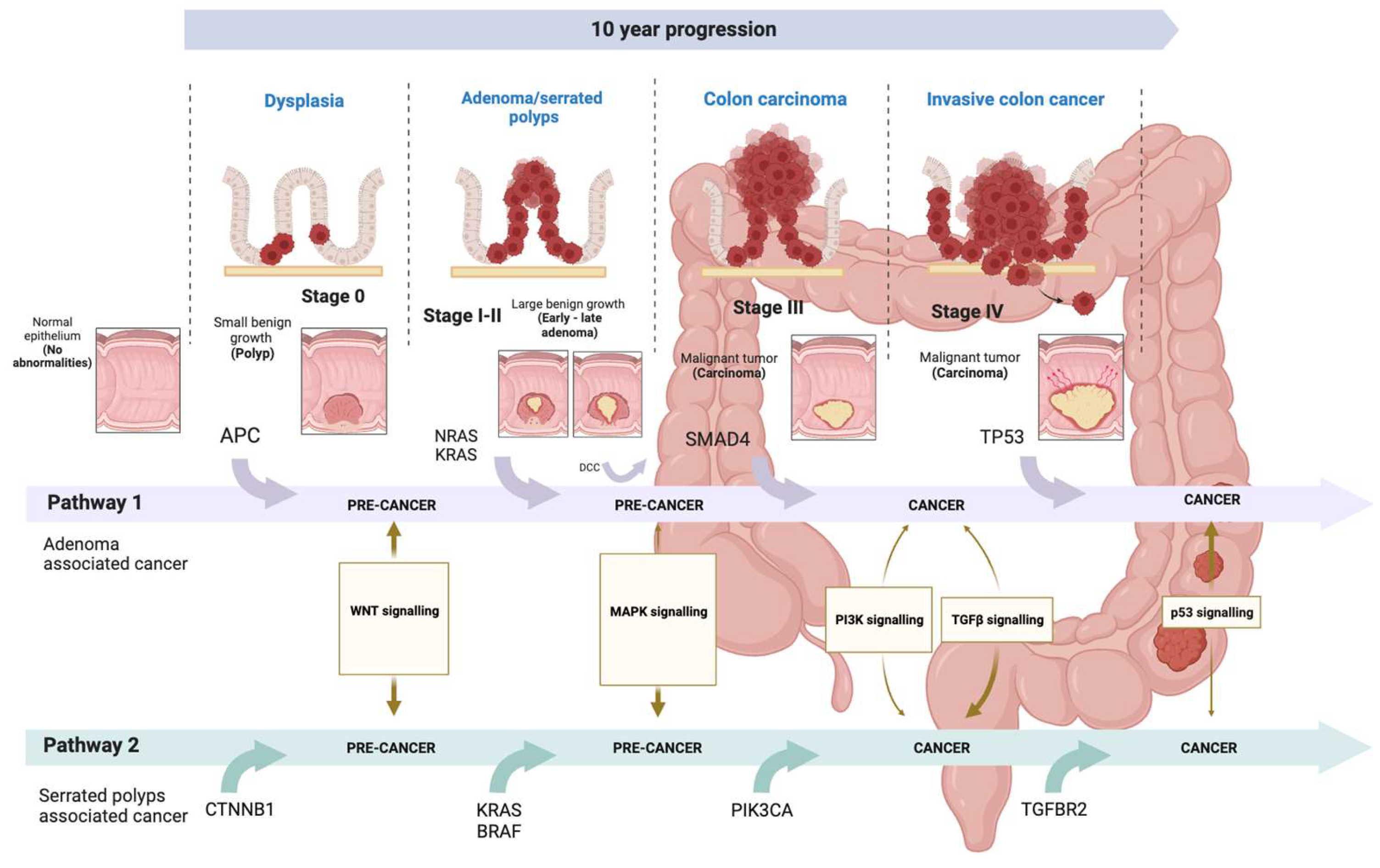 Ijms 25 02283 g002 Ijms 25 02283 g002