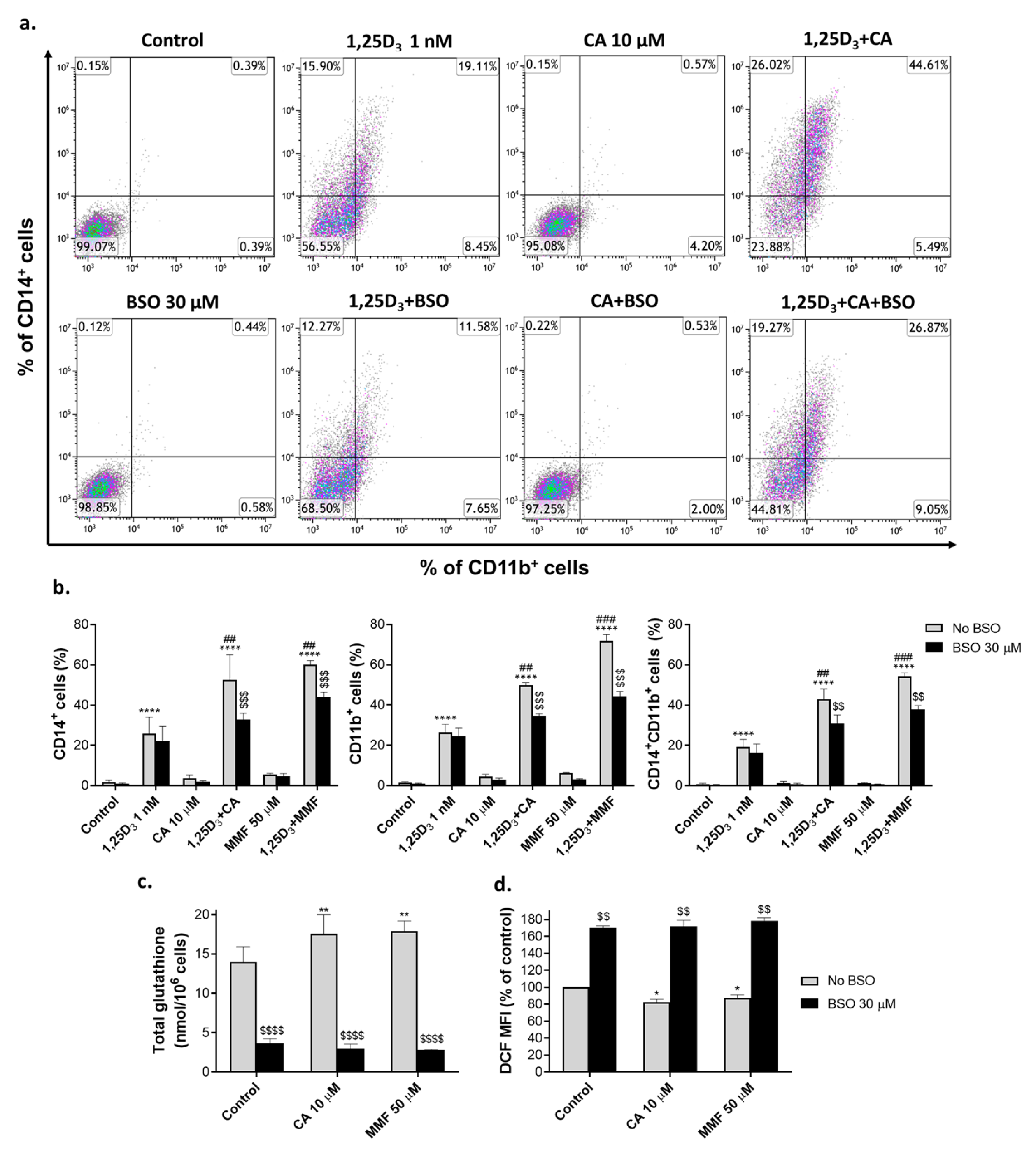 Ijms 25 02284 g001 Ijms 25 02284 g001