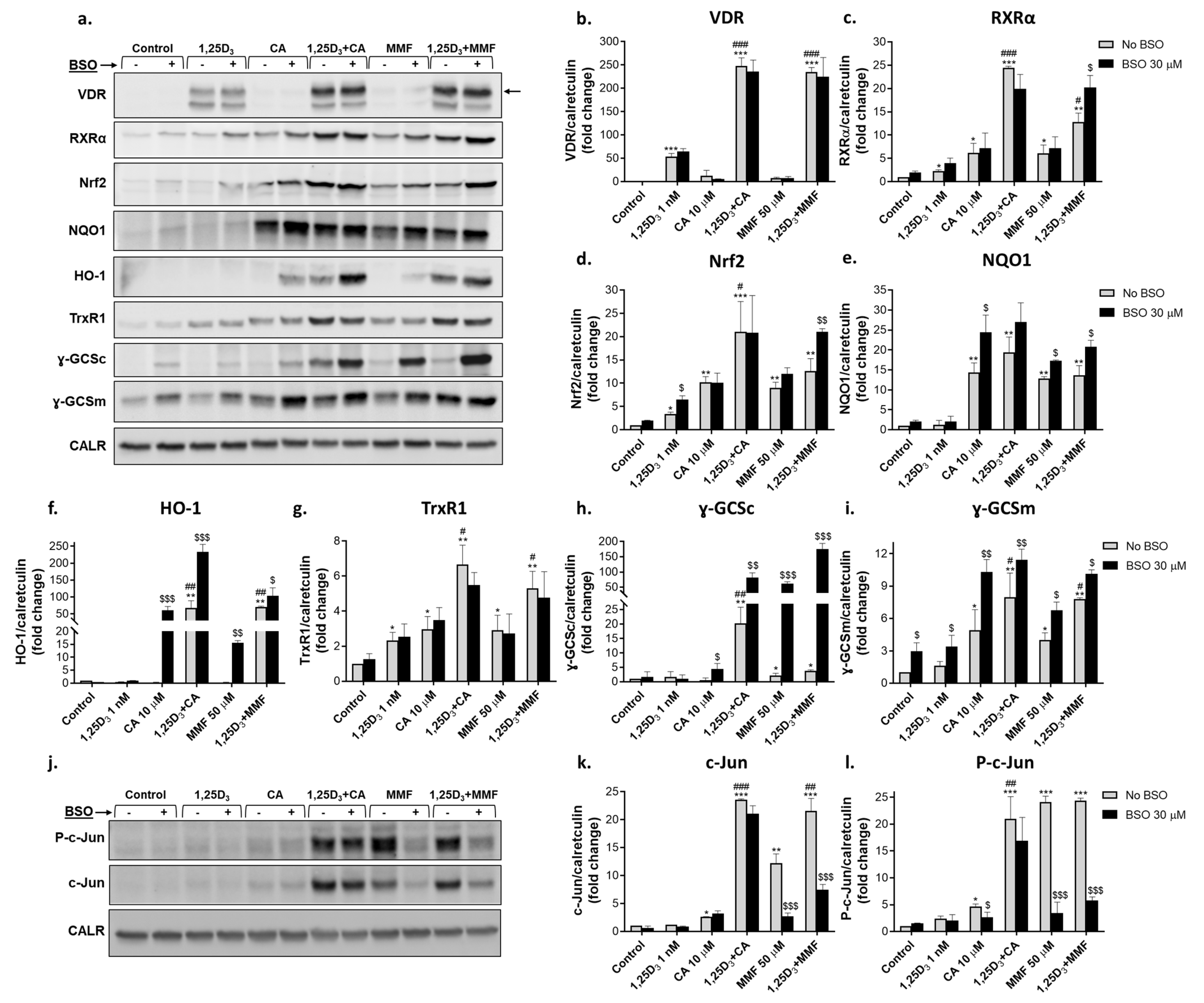 Ijms 25 02284 g003 Ijms 25 02284 g003