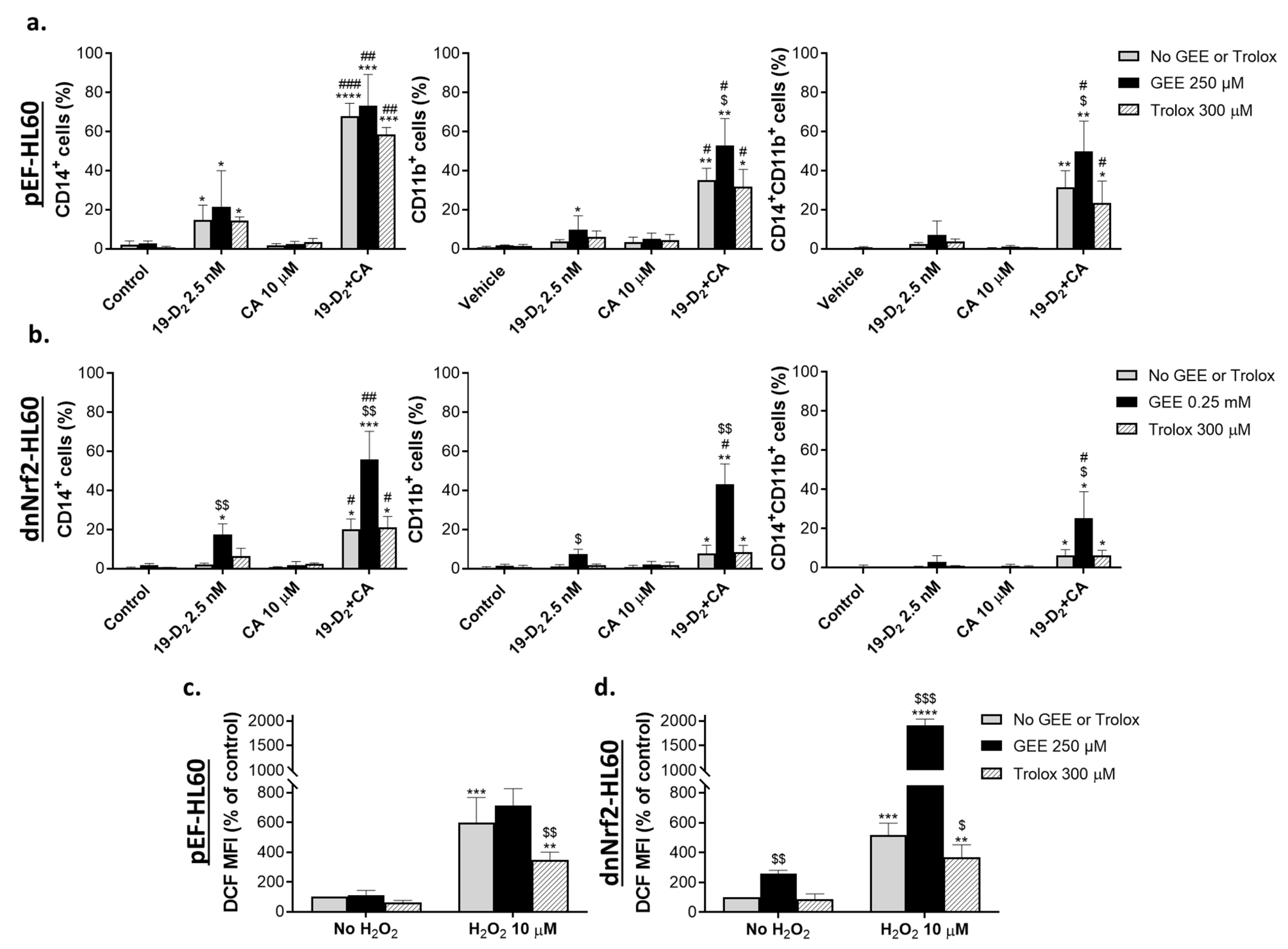 Ijms 25 02284 g005 Ijms 25 02284 g005