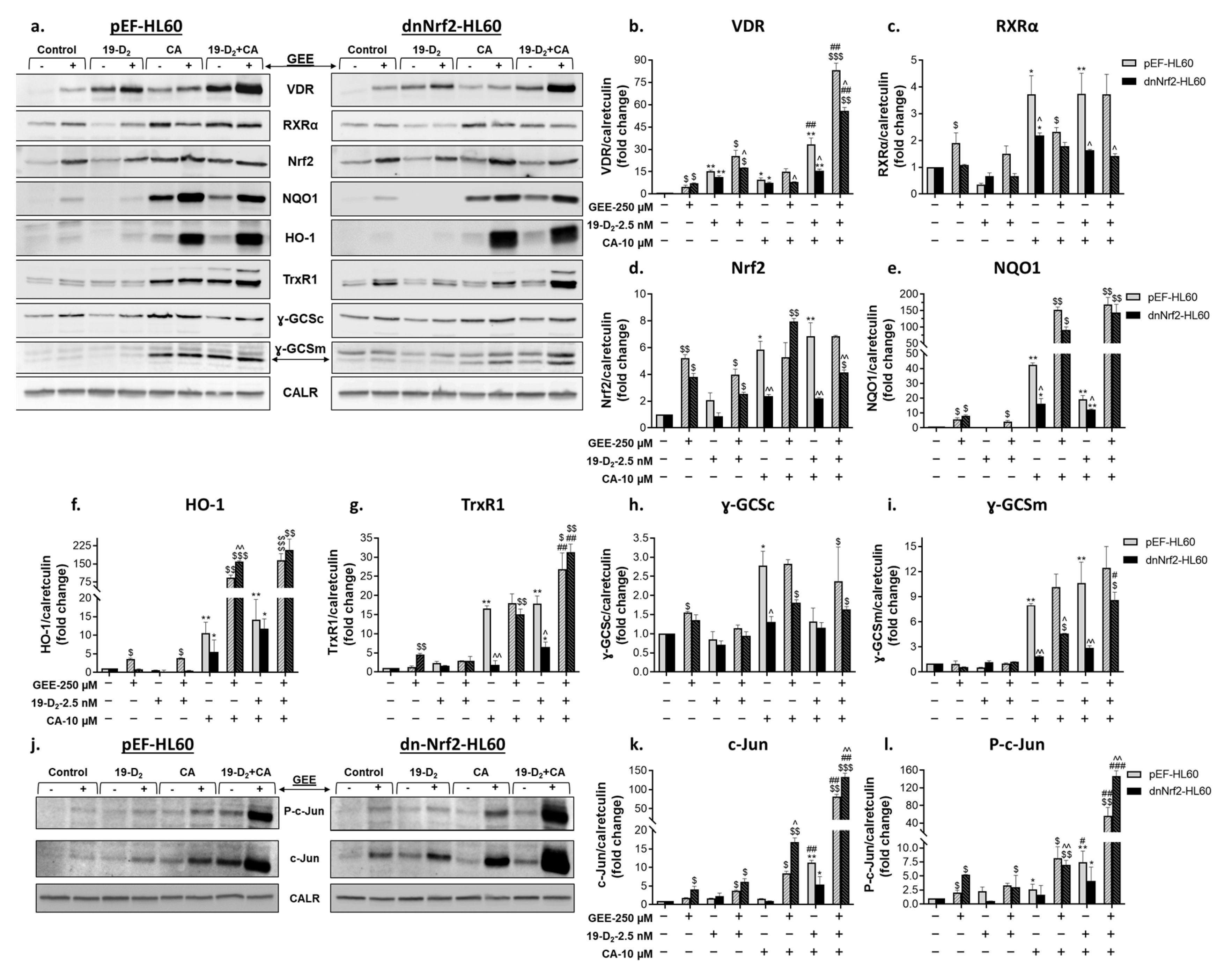 Ijms 25 02284 g007 Ijms 25 02284 g007