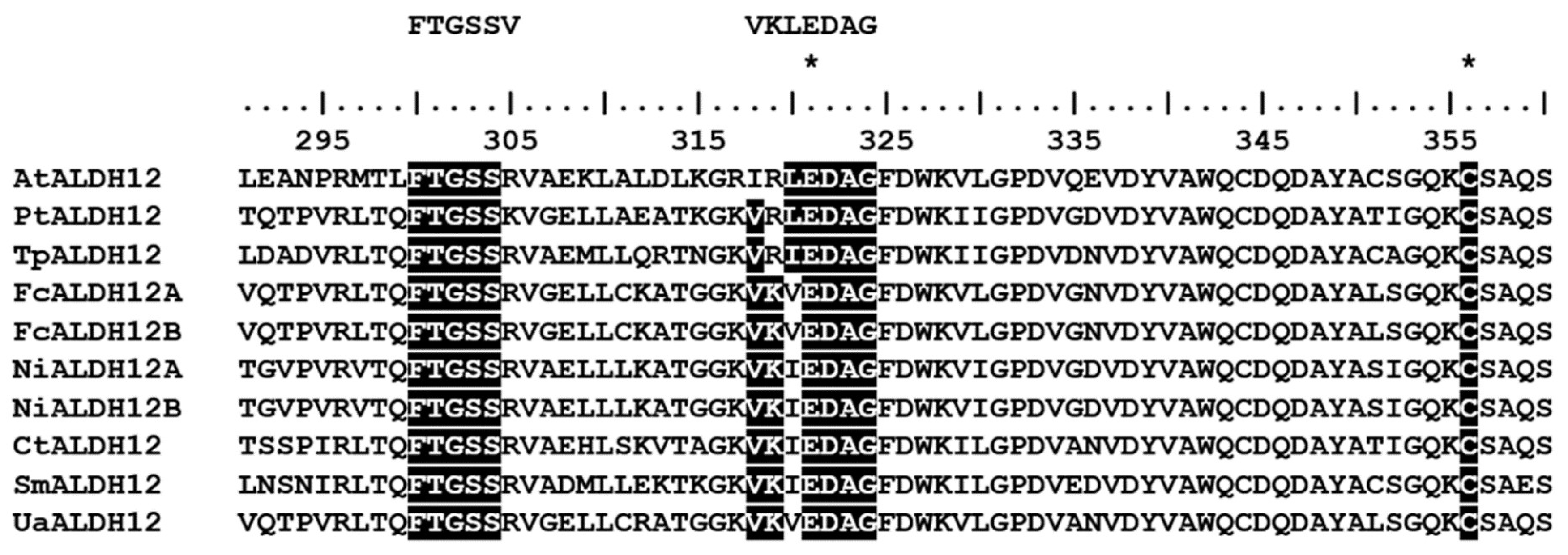 Ijms 25 02314 g003 Ijms 25 02314 g003