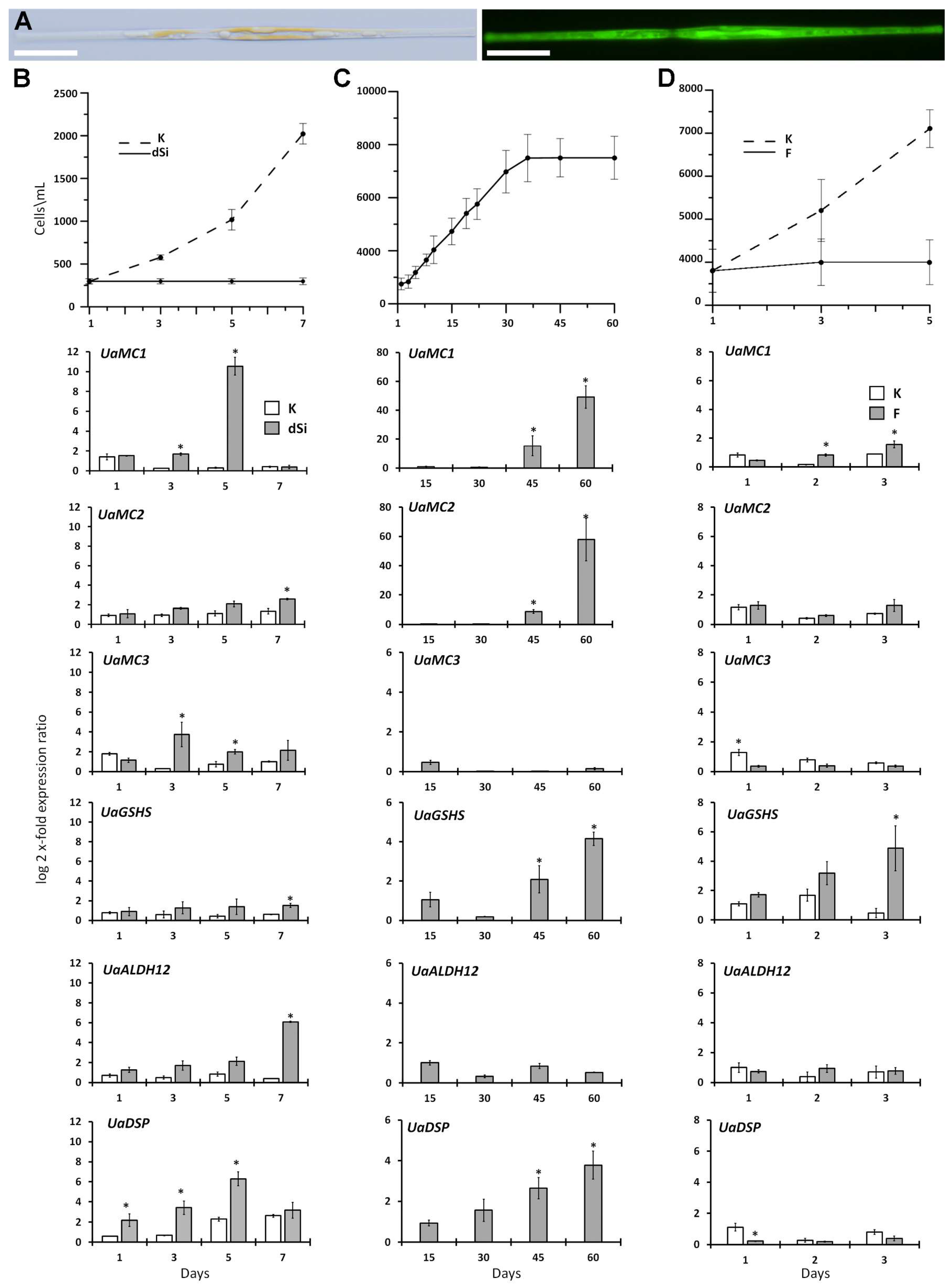 Ijms 25 02314 g005 Ijms 25 02314 g005