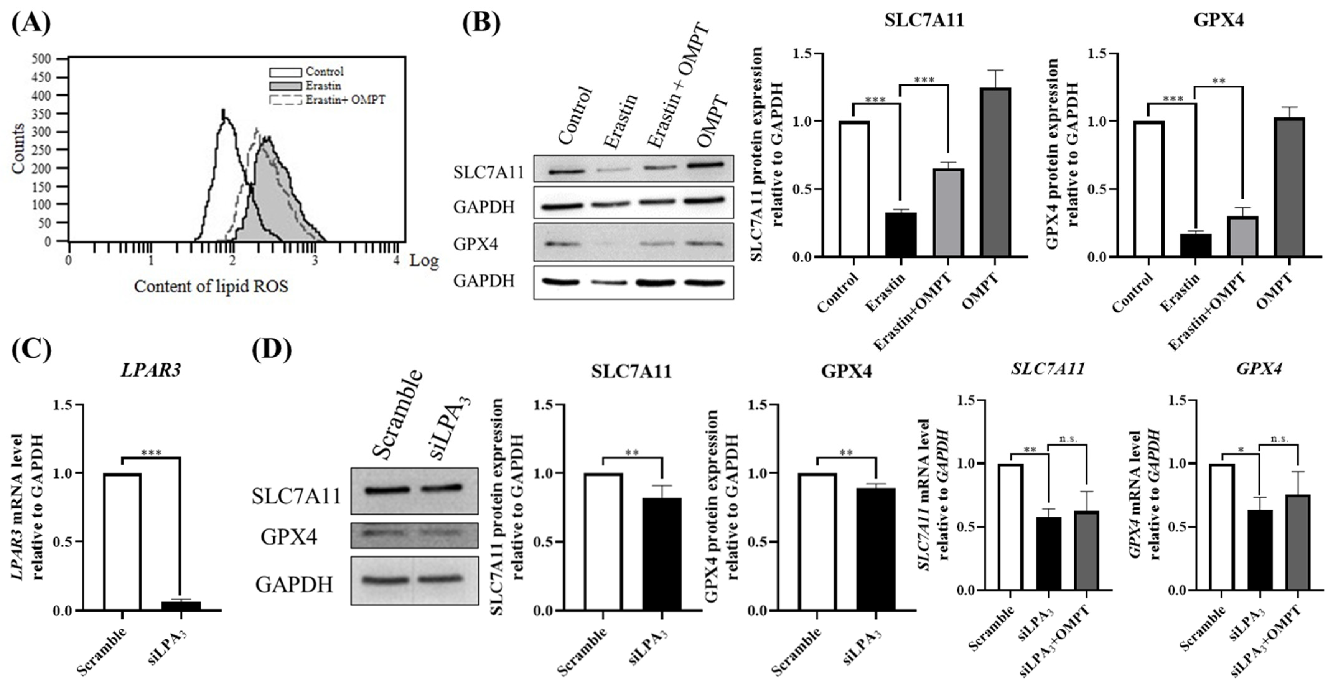 Ijms 25 02315 g002 Ijms 25 02315 g002