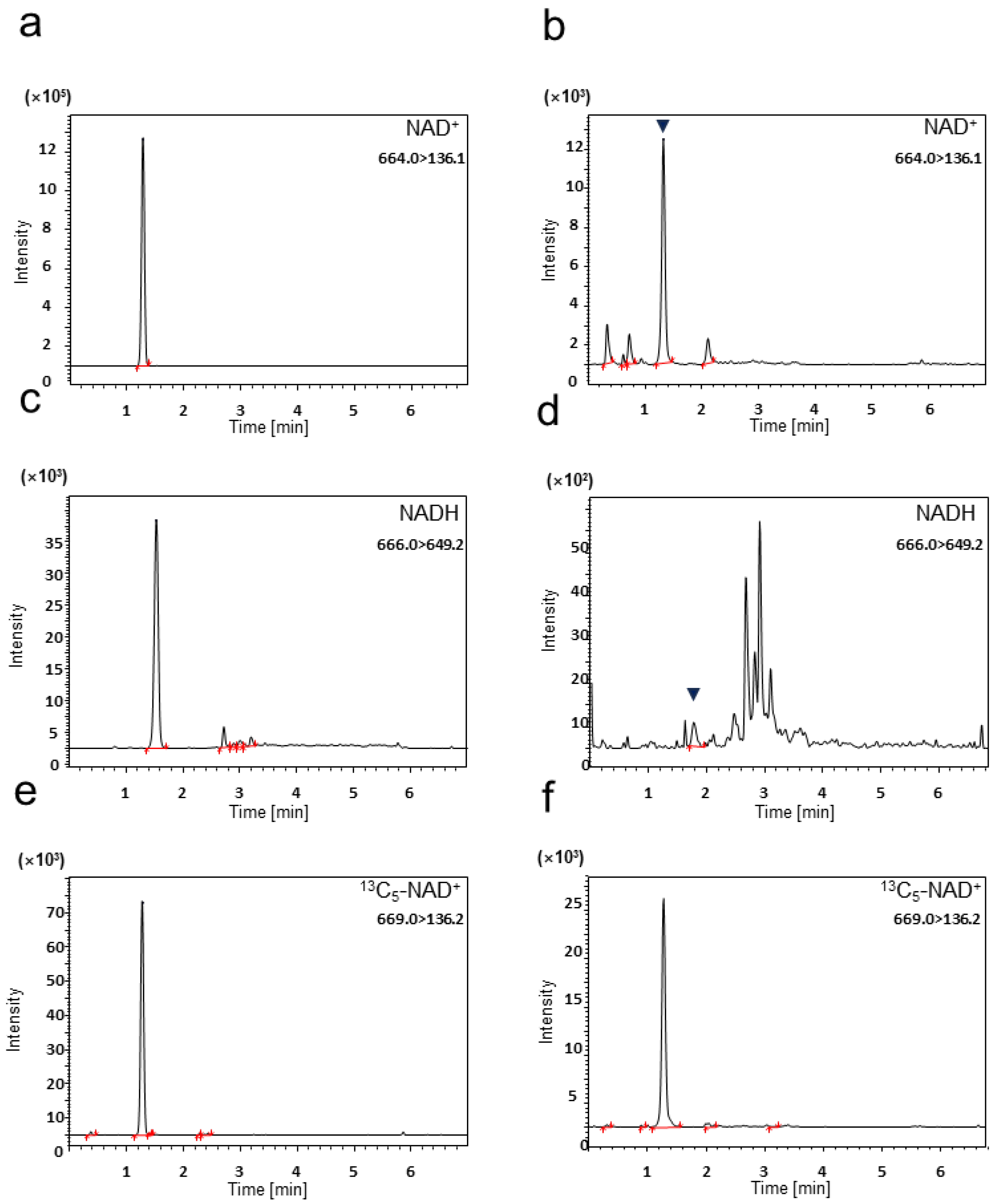 Ijms 25 02325 g001 Ijms 25 02325 g001