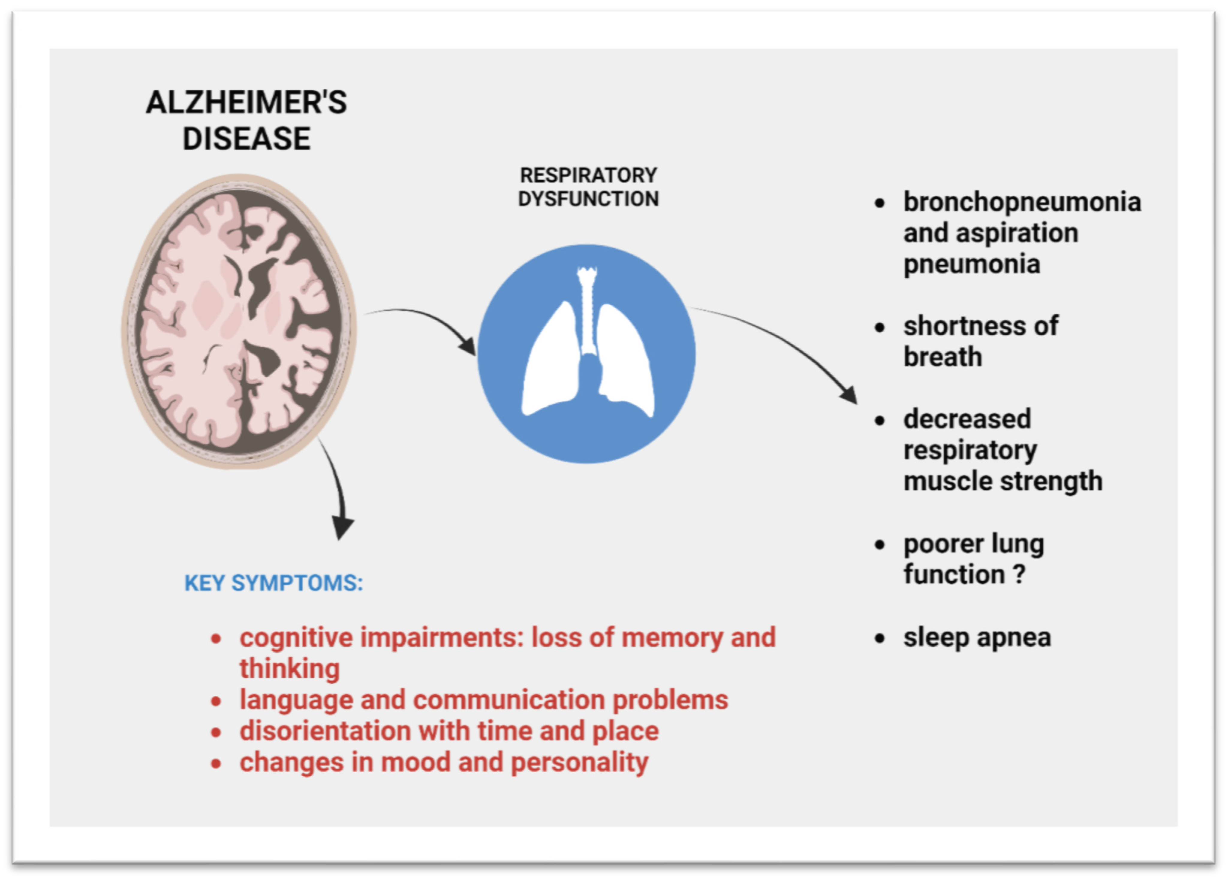 Ijms 25 02327 g001 Ijms 25 02327 g001