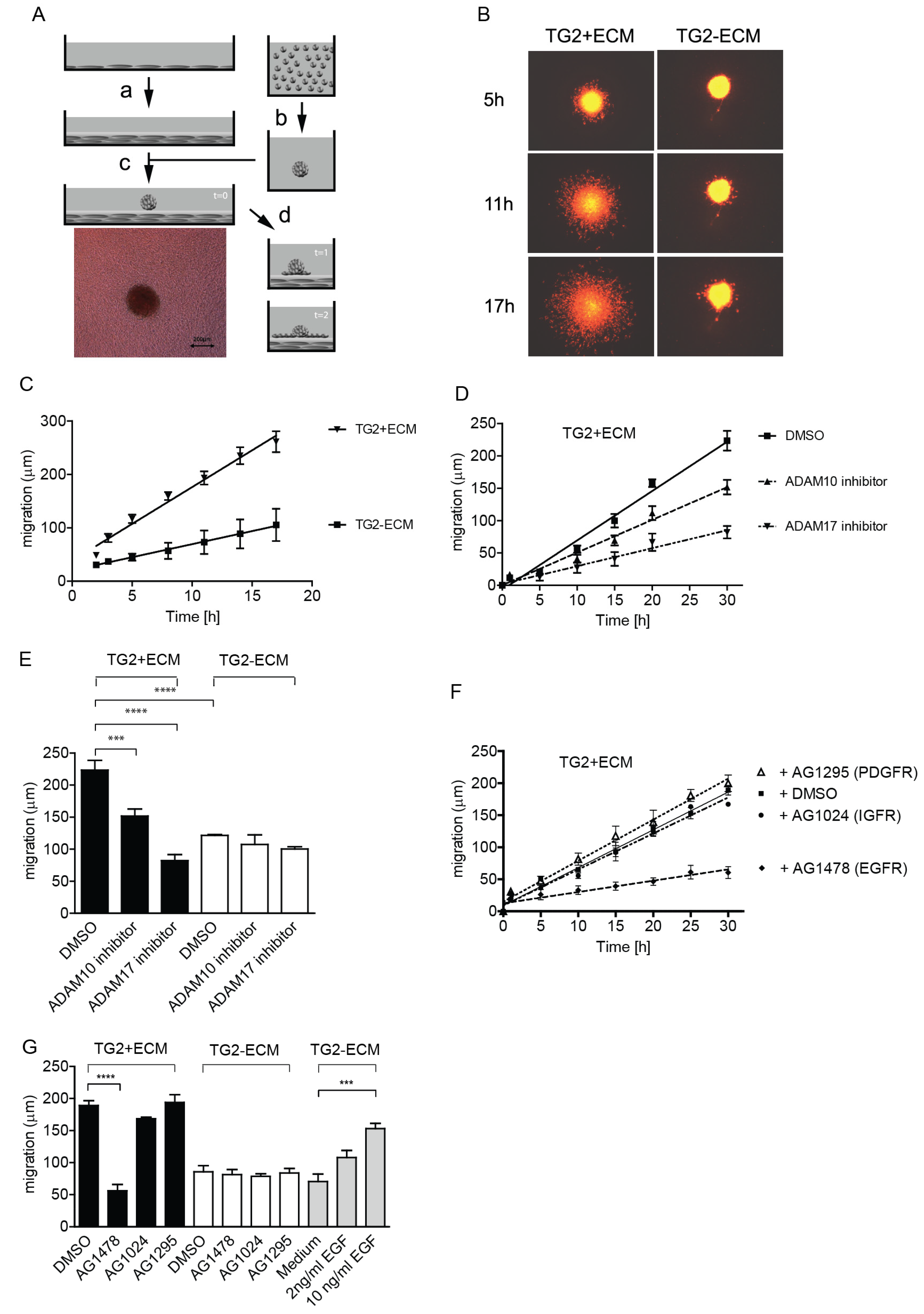 Ijms 25 02329 g001 Ijms 25 02329 g001