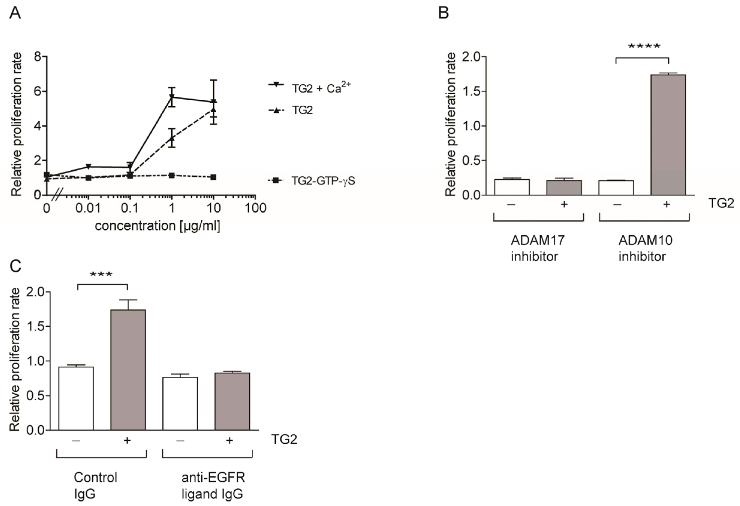 Ijms 25 02329 g002 Ijms 25 02329 g002