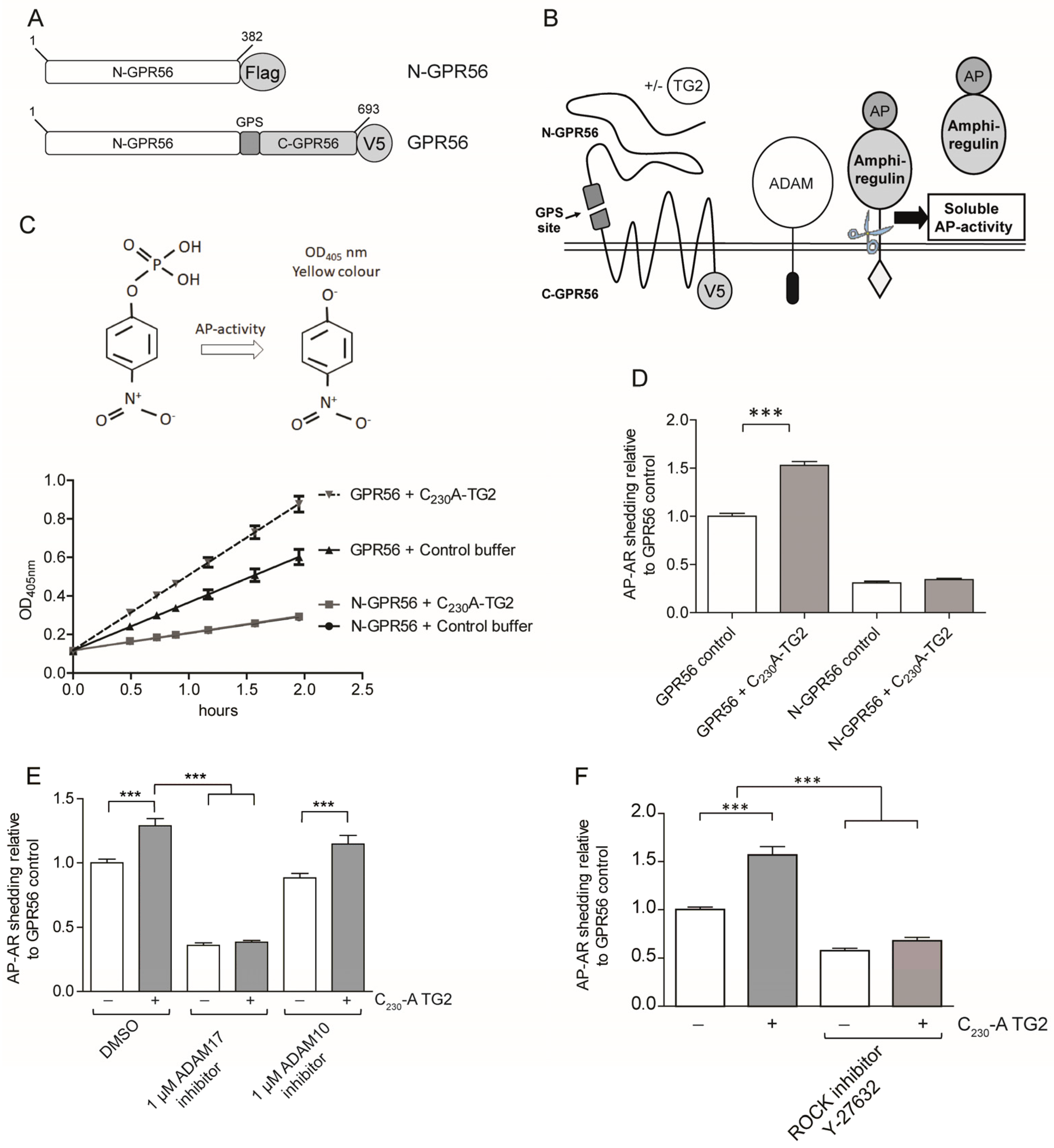 Ijms 25 02329 g003 Ijms 25 02329 g003