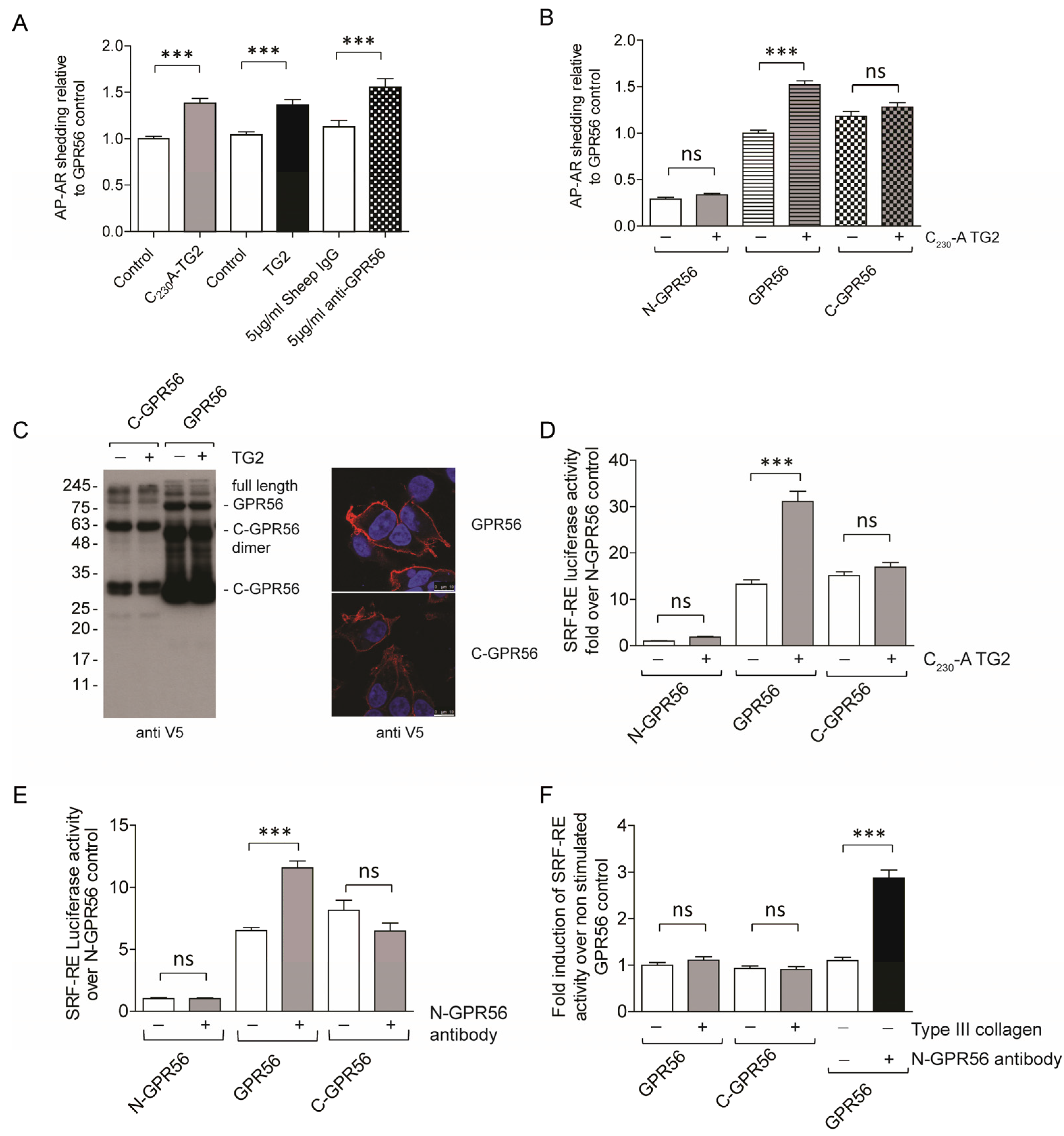 Ijms 25 02329 g005 Ijms 25 02329 g005