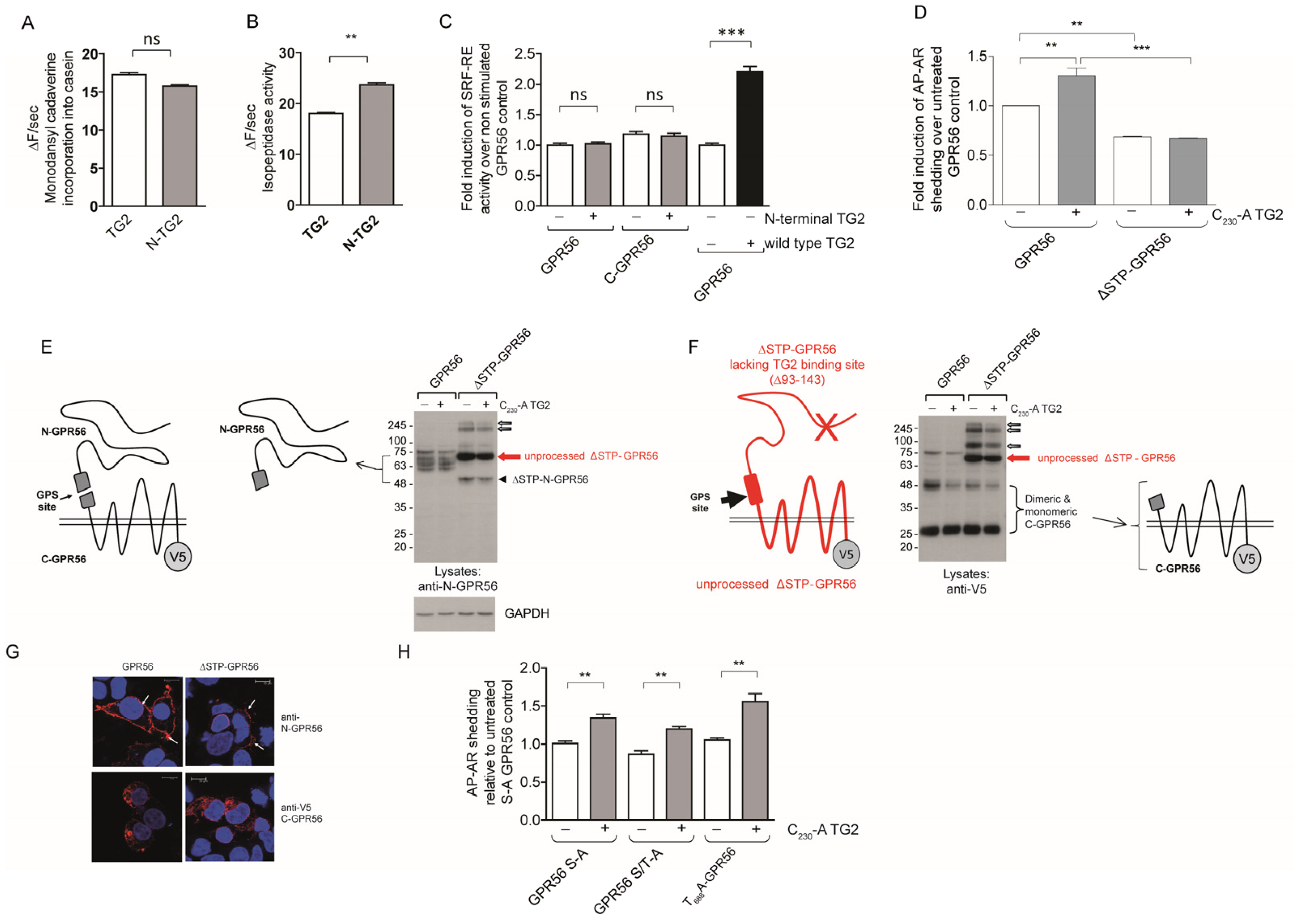 Ijms 25 02329 g006 Ijms 25 02329 g006