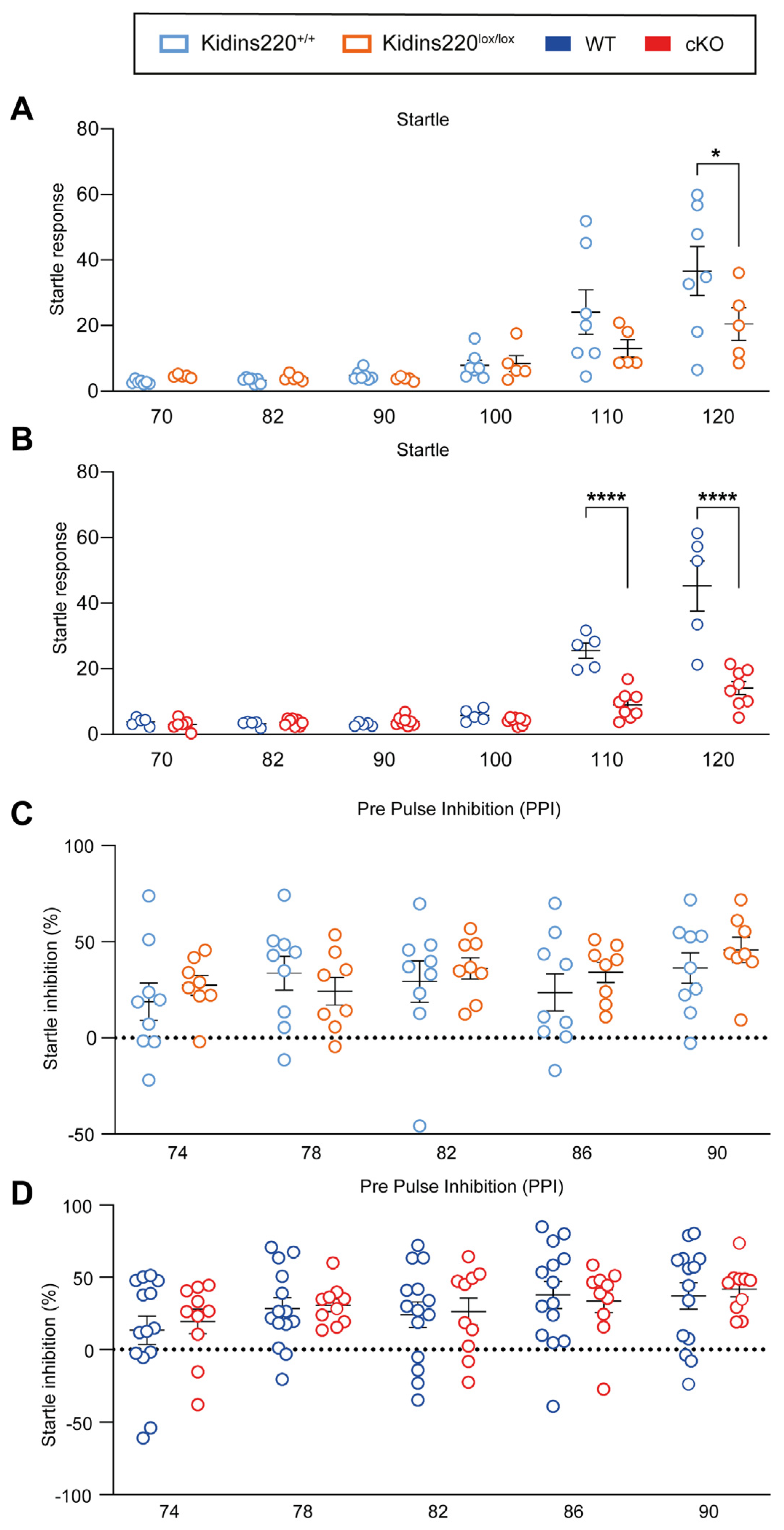 Ijms 25 02334 g001 Ijms 25 02334 g001
