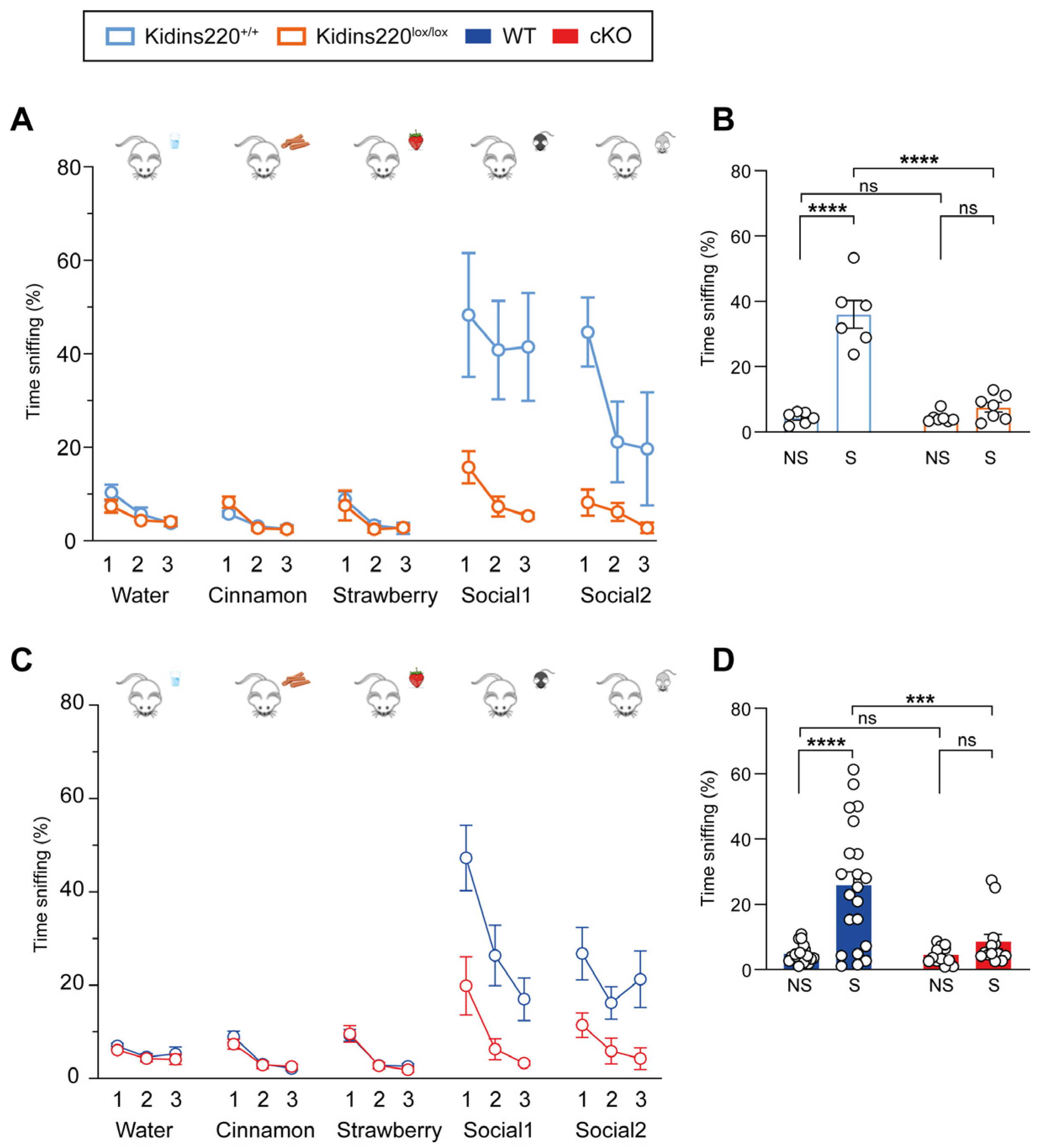 Ijms 25 02334 g002 Ijms 25 02334 g002