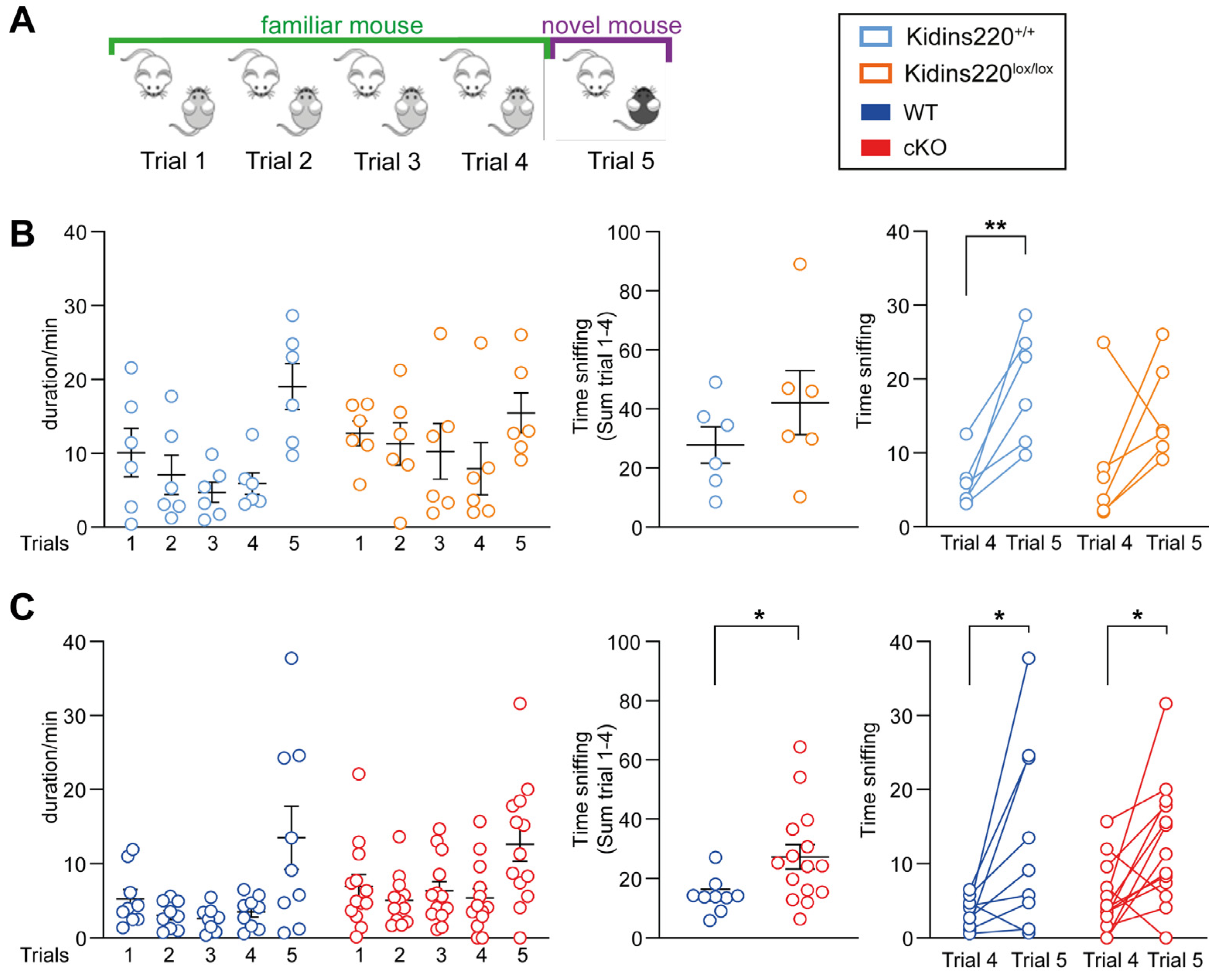 Ijms 25 02334 g003 Ijms 25 02334 g003