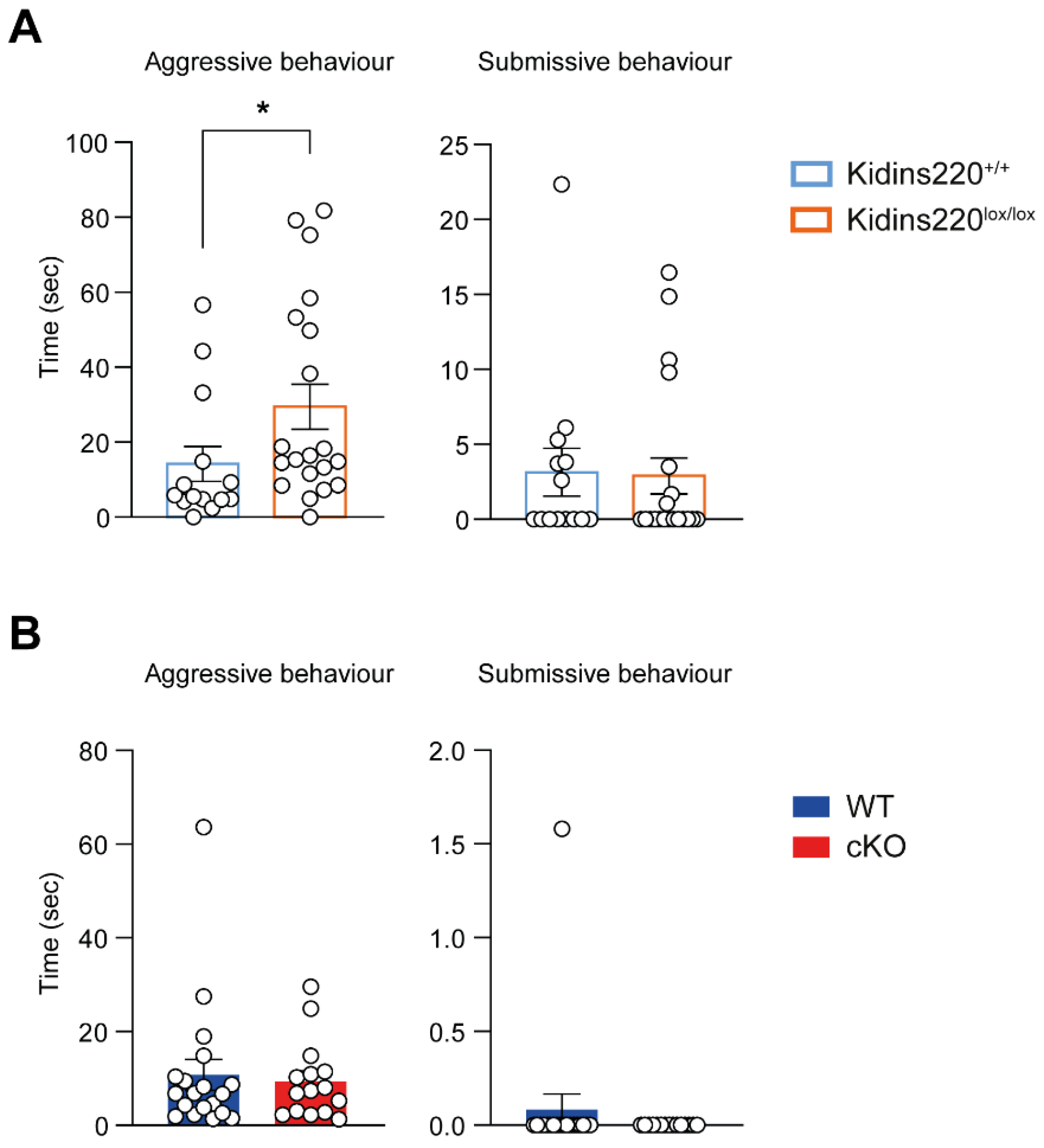 Ijms 25 02334 g004 Ijms 25 02334 g004