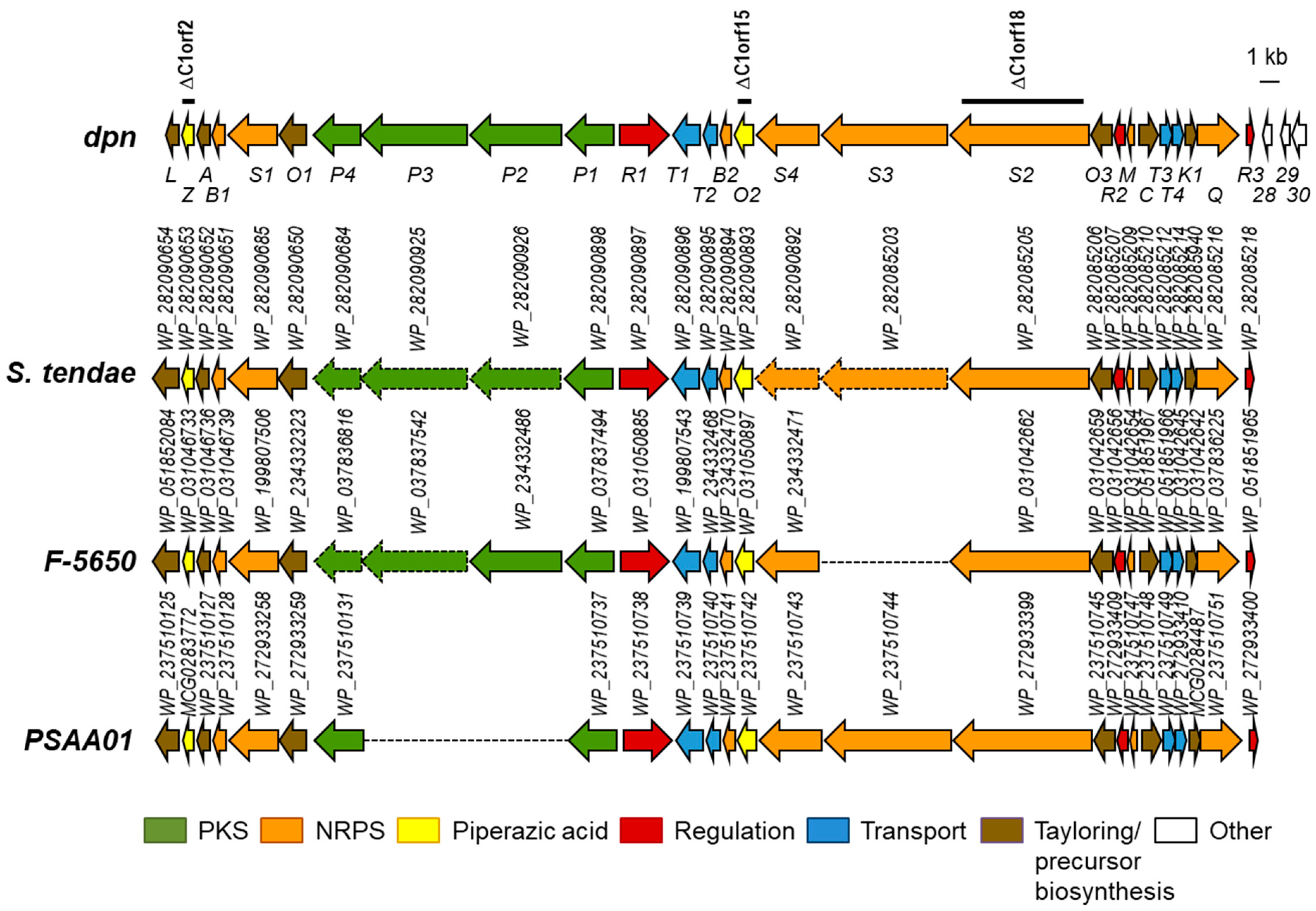 Ijms 25 02347 g001 Ijms 25 02347 g001