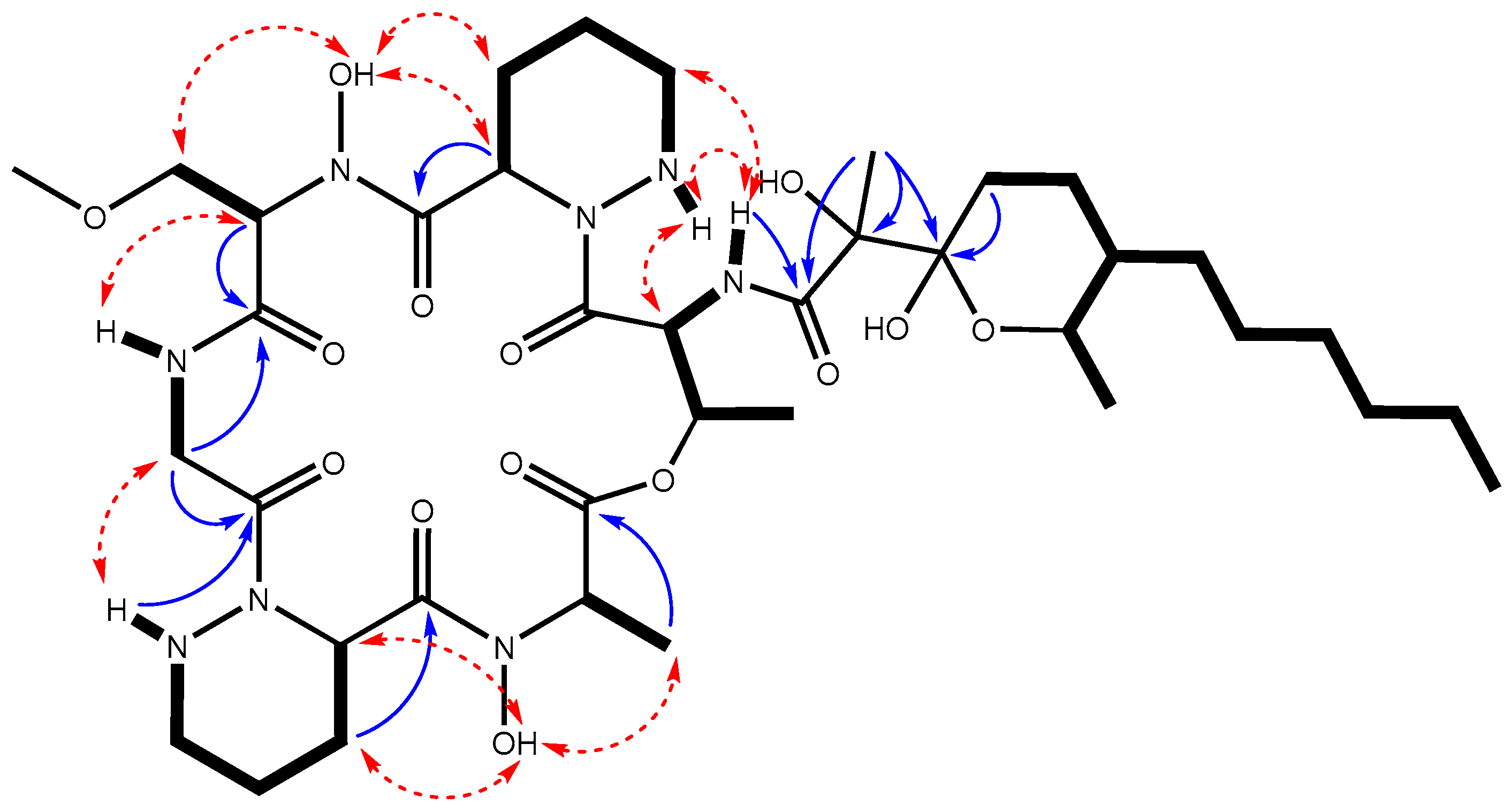 Ijms 25 02347 g004 Ijms 25 02347 g004