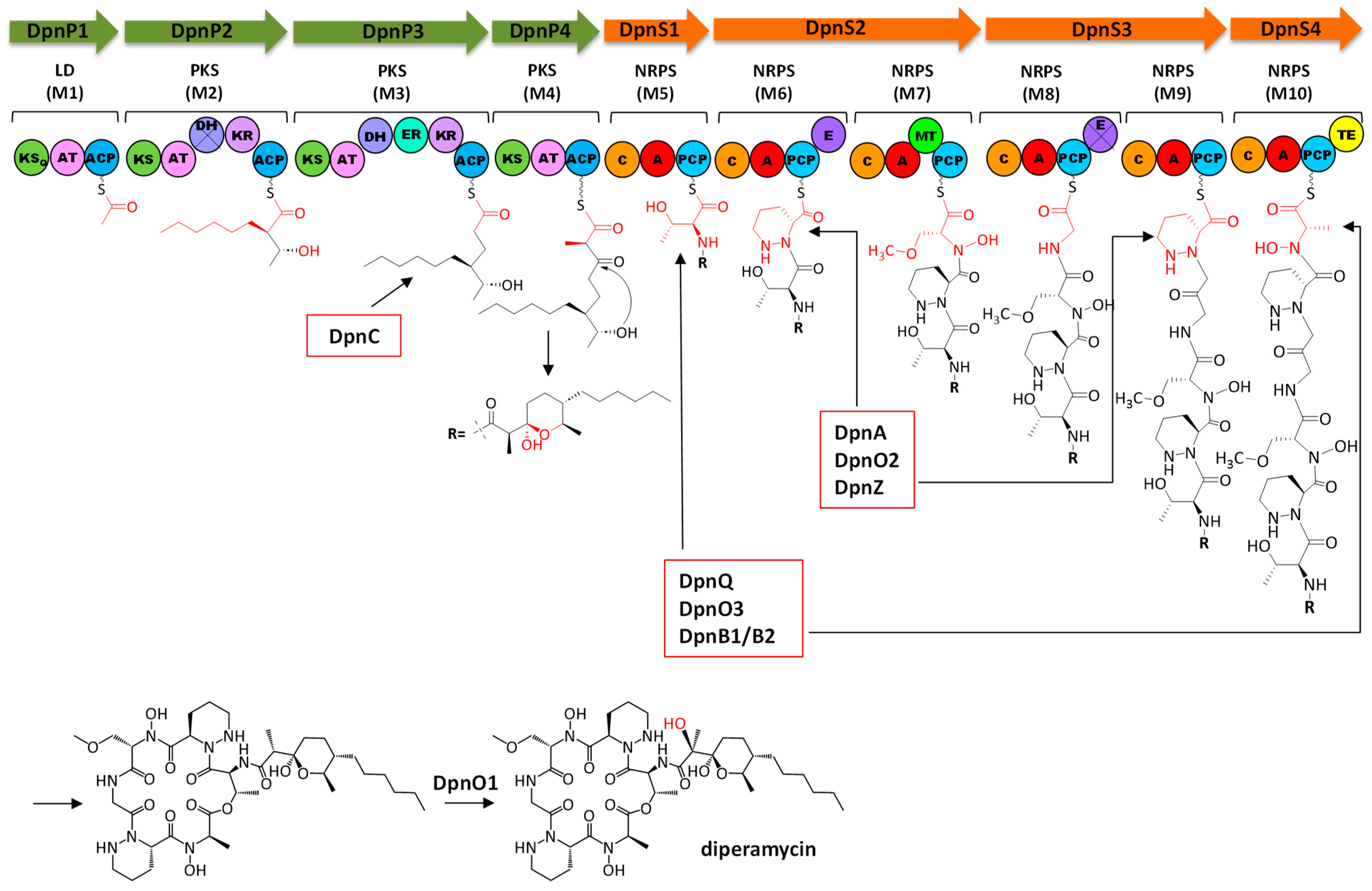 Ijms 25 02347 g006 Ijms 25 02347 g006