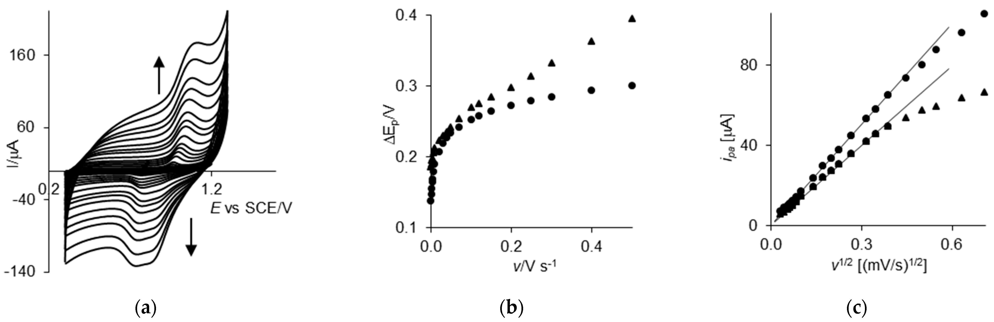 Ijms 25 02348 g001 Ijms 25 02348 g001