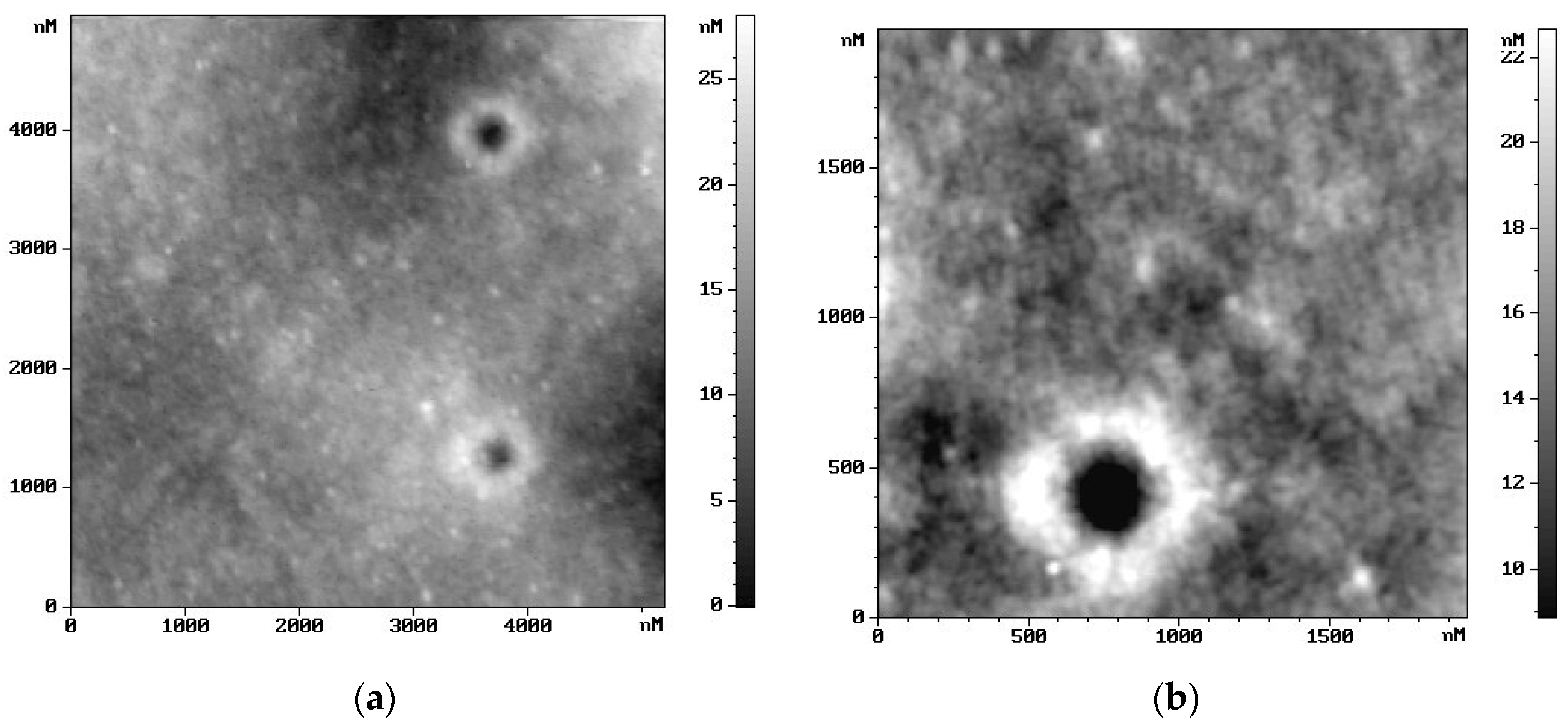 Ijms 25 02348 g006 Ijms 25 02348 g006