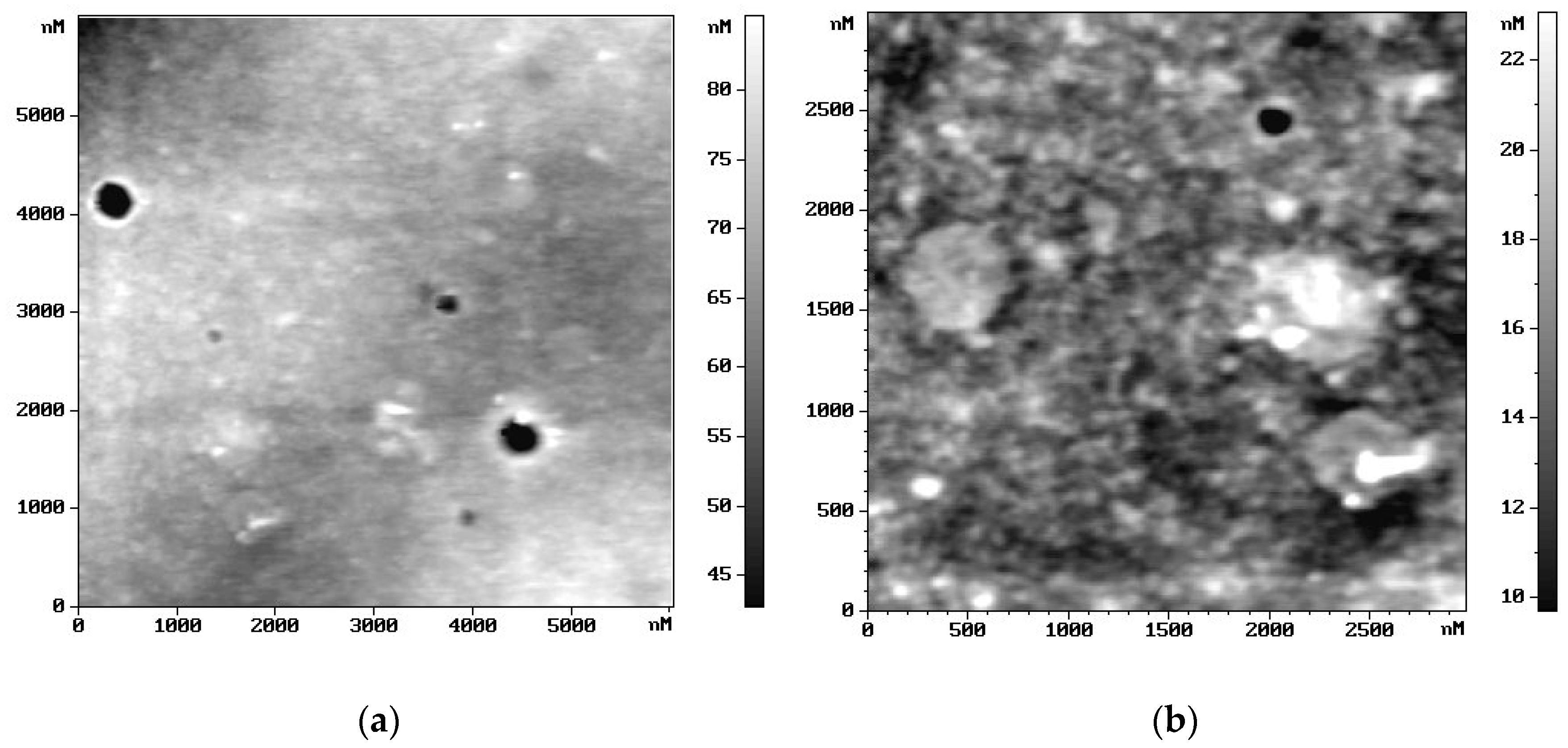 Ijms 25 02348 g007 Ijms 25 02348 g007