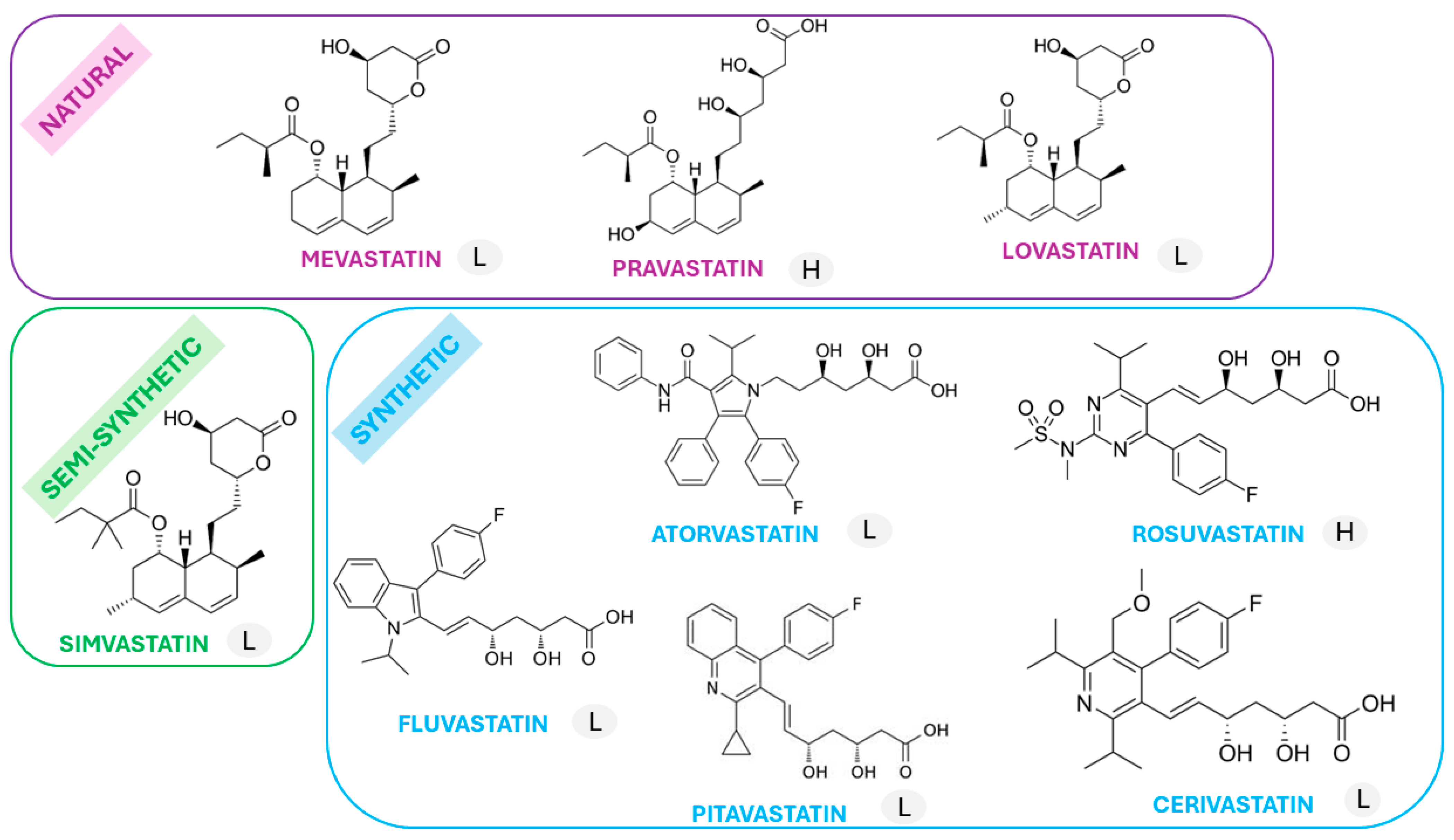 Ijms 25 02378 g002 Ijms 25 02378 g002