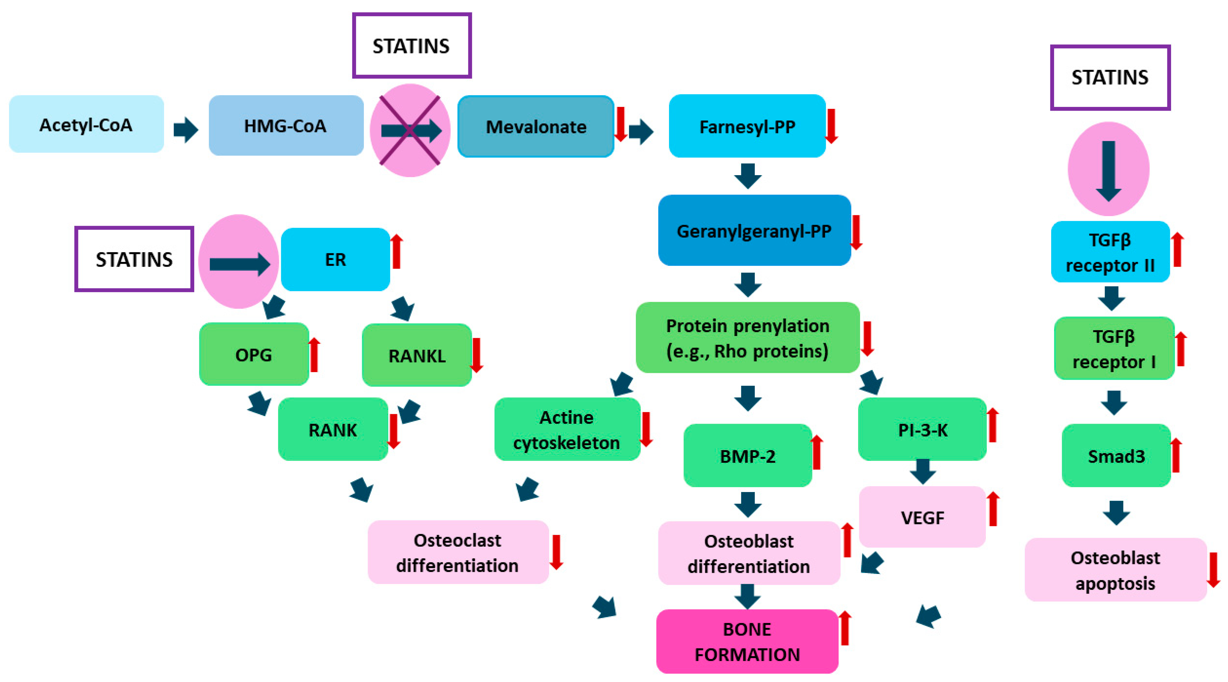 Ijms 25 02378 g003 Ijms 25 02378 g003