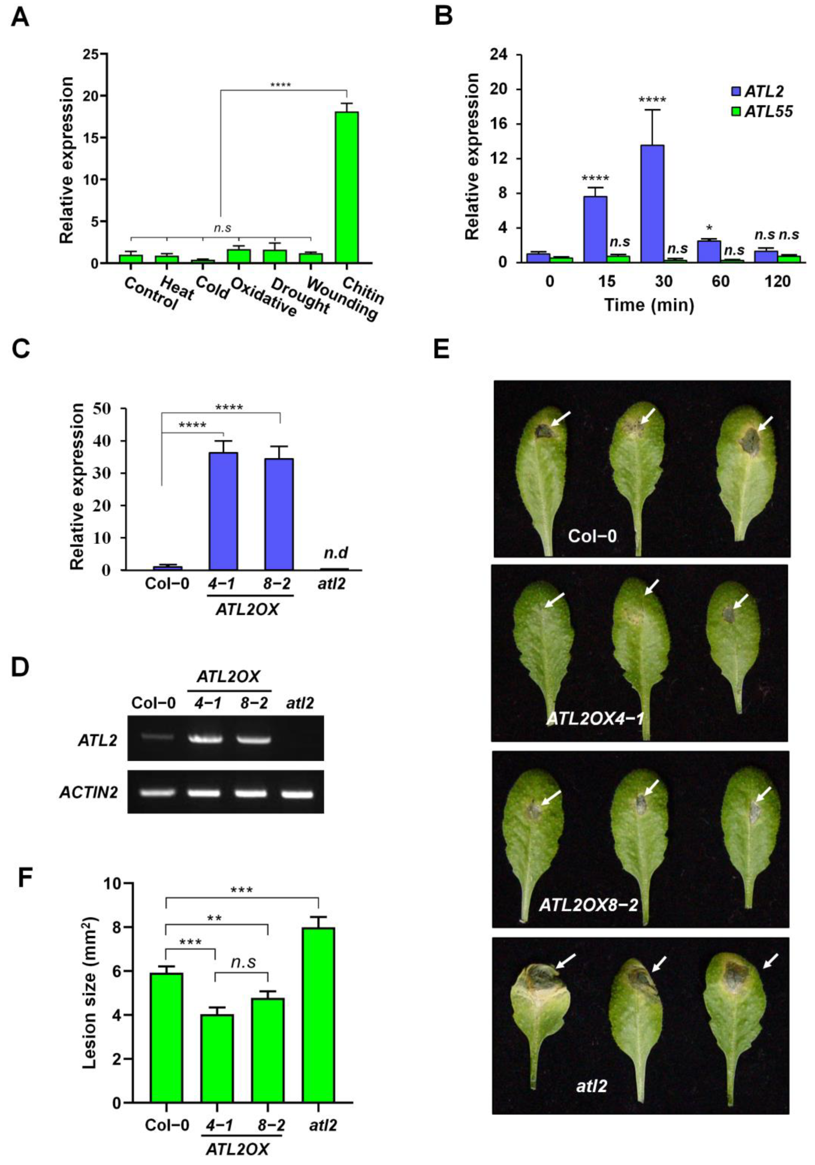 Ijms 25 02388 g002 Ijms 25 02388 g002