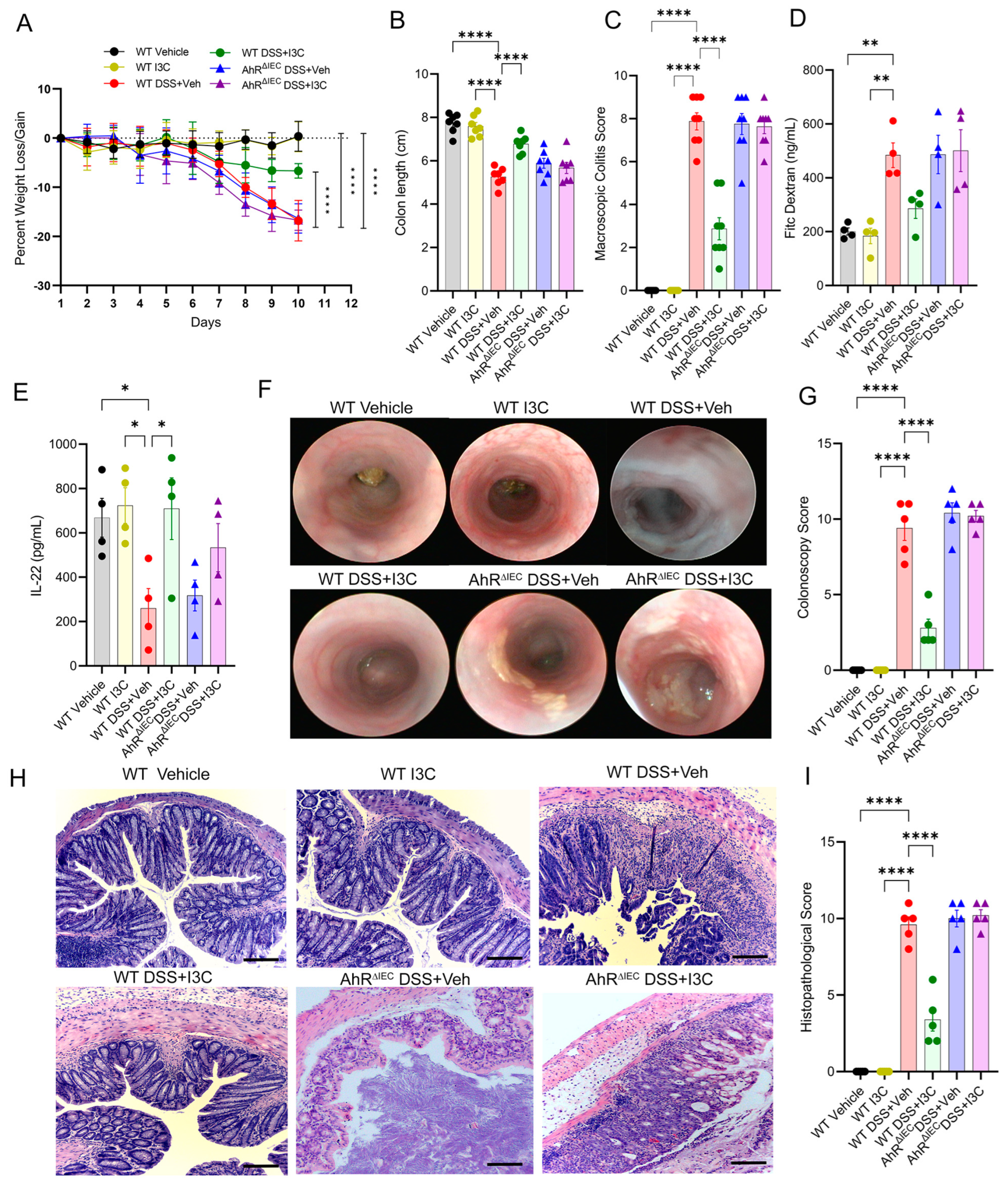 Ijms 25 02404 g002 Ijms 25 02404 g002