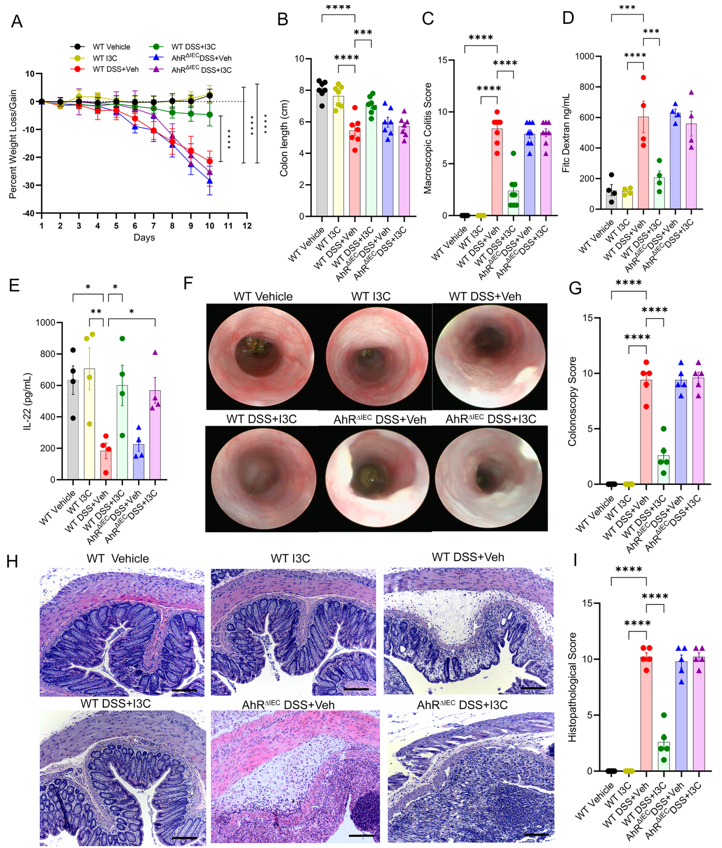 Ijms 25 02404 g003 Ijms 25 02404 g003
