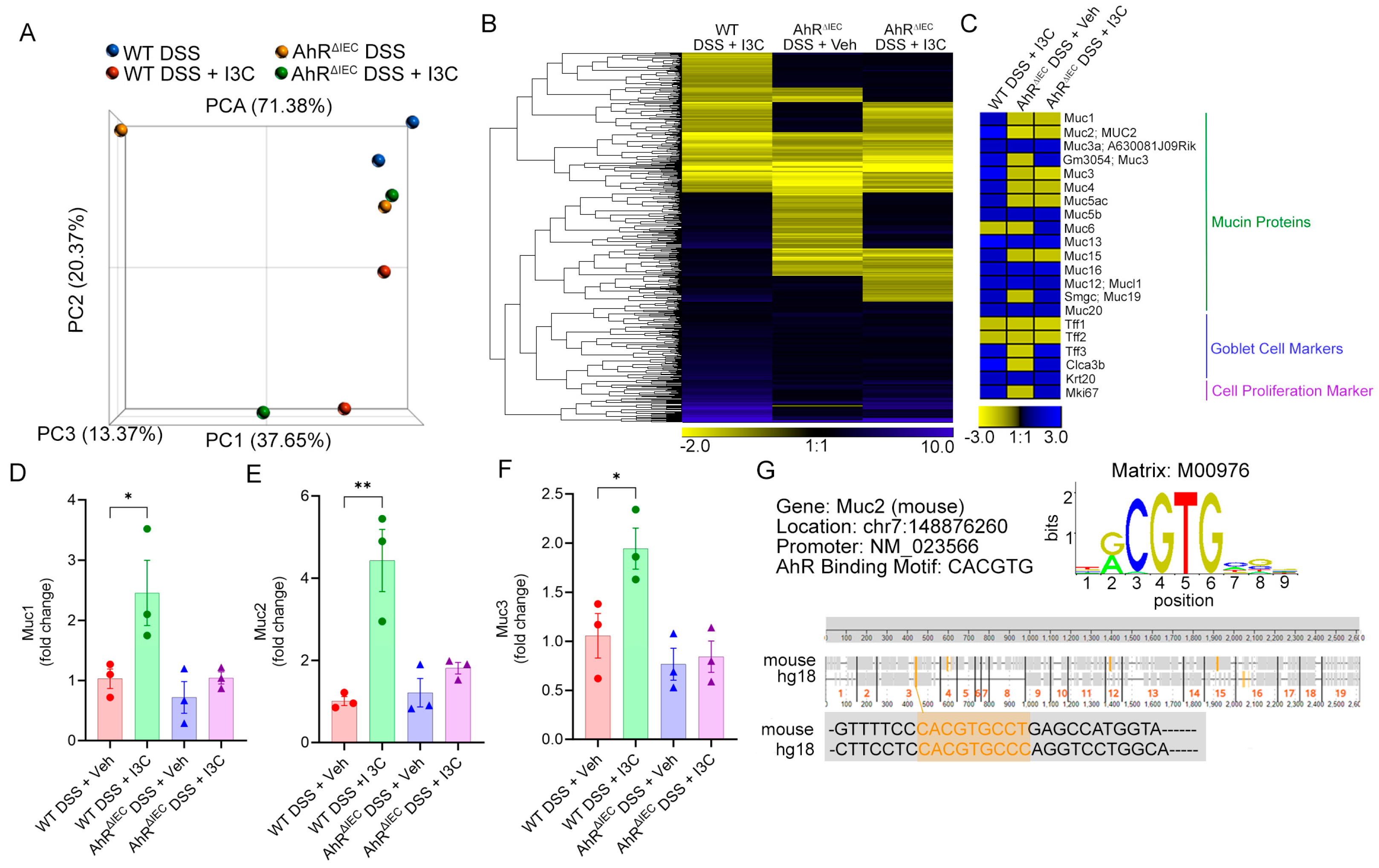 Ijms 25 02404 g004 Ijms 25 02404 g004